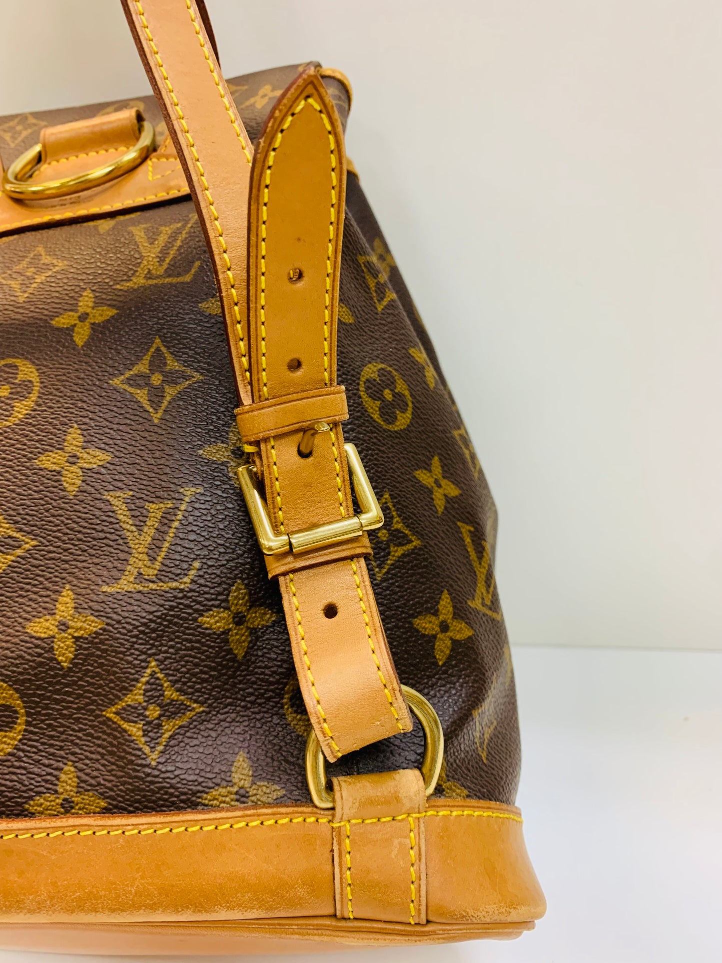 LOUIS VUITTON Montsouris MM Monogram