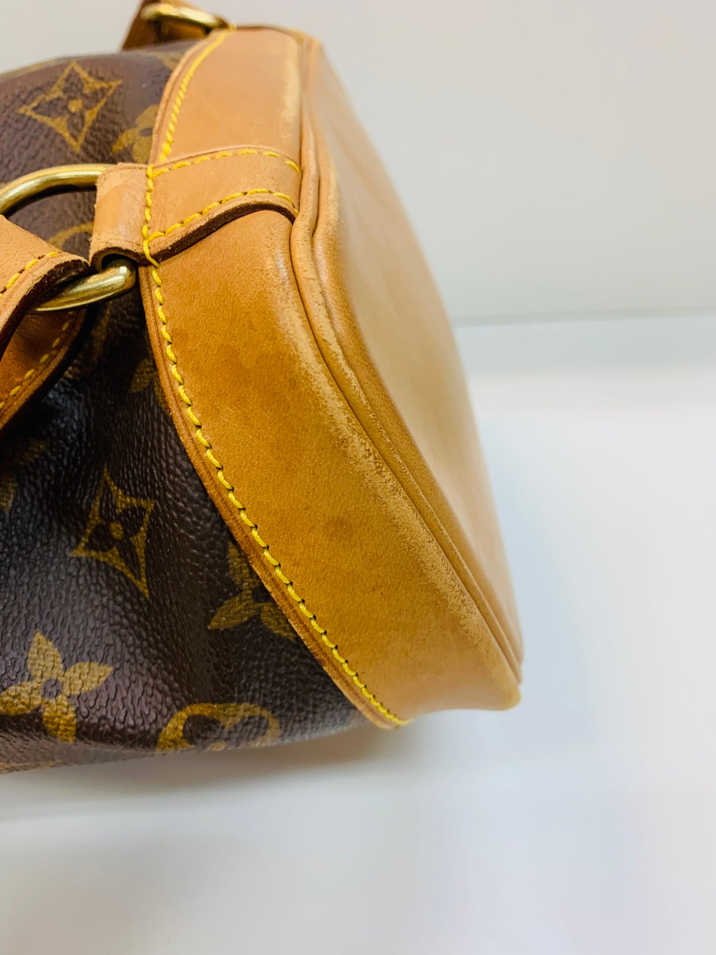 LOUIS VUITTON Montsouris MM Monogram