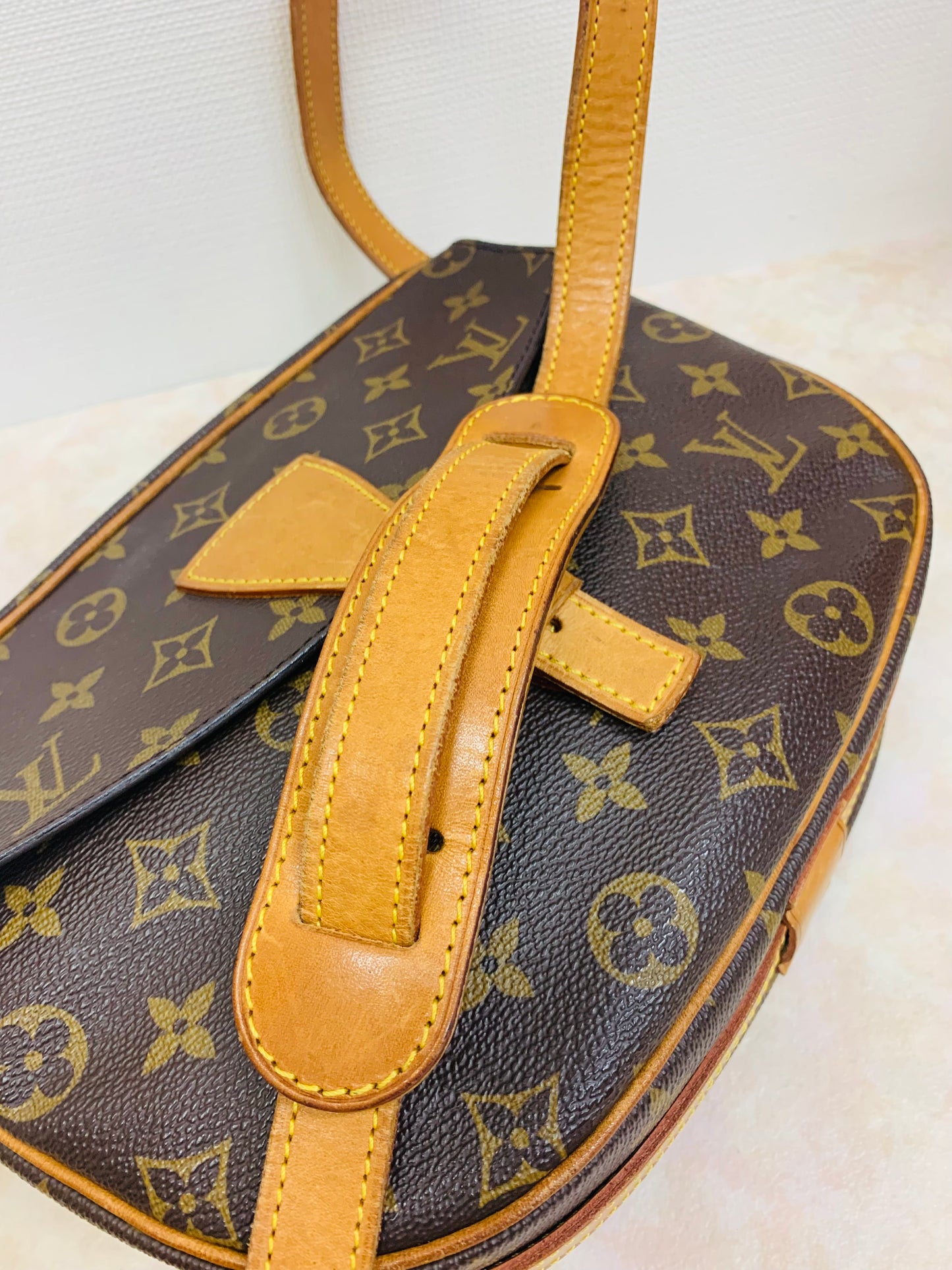LOUIS VUITTON JEUNEFILE GM