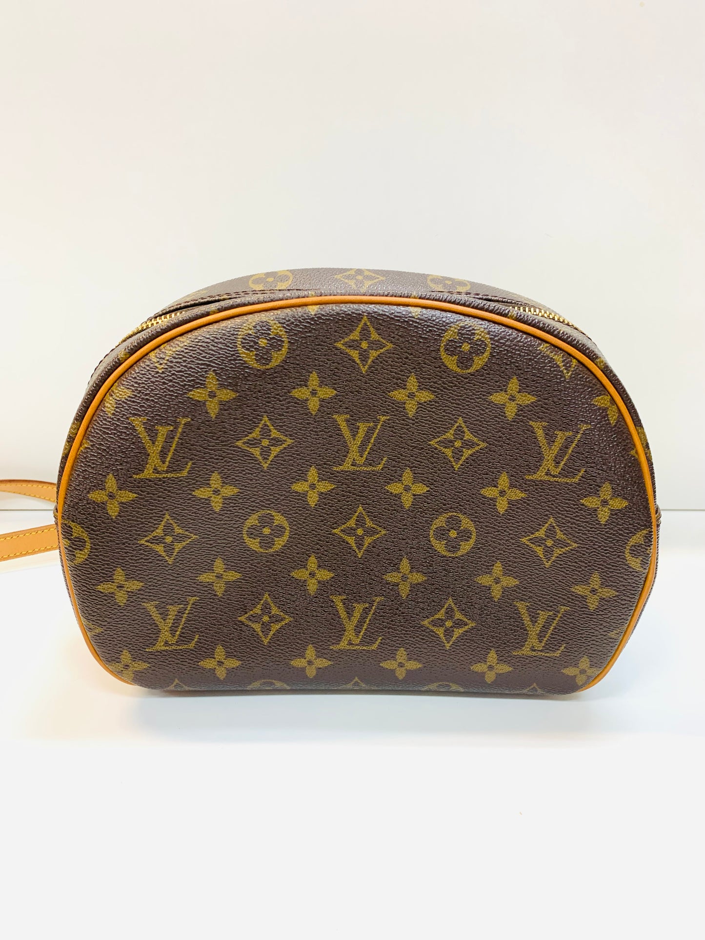 Louis Vuitton Blois (used)