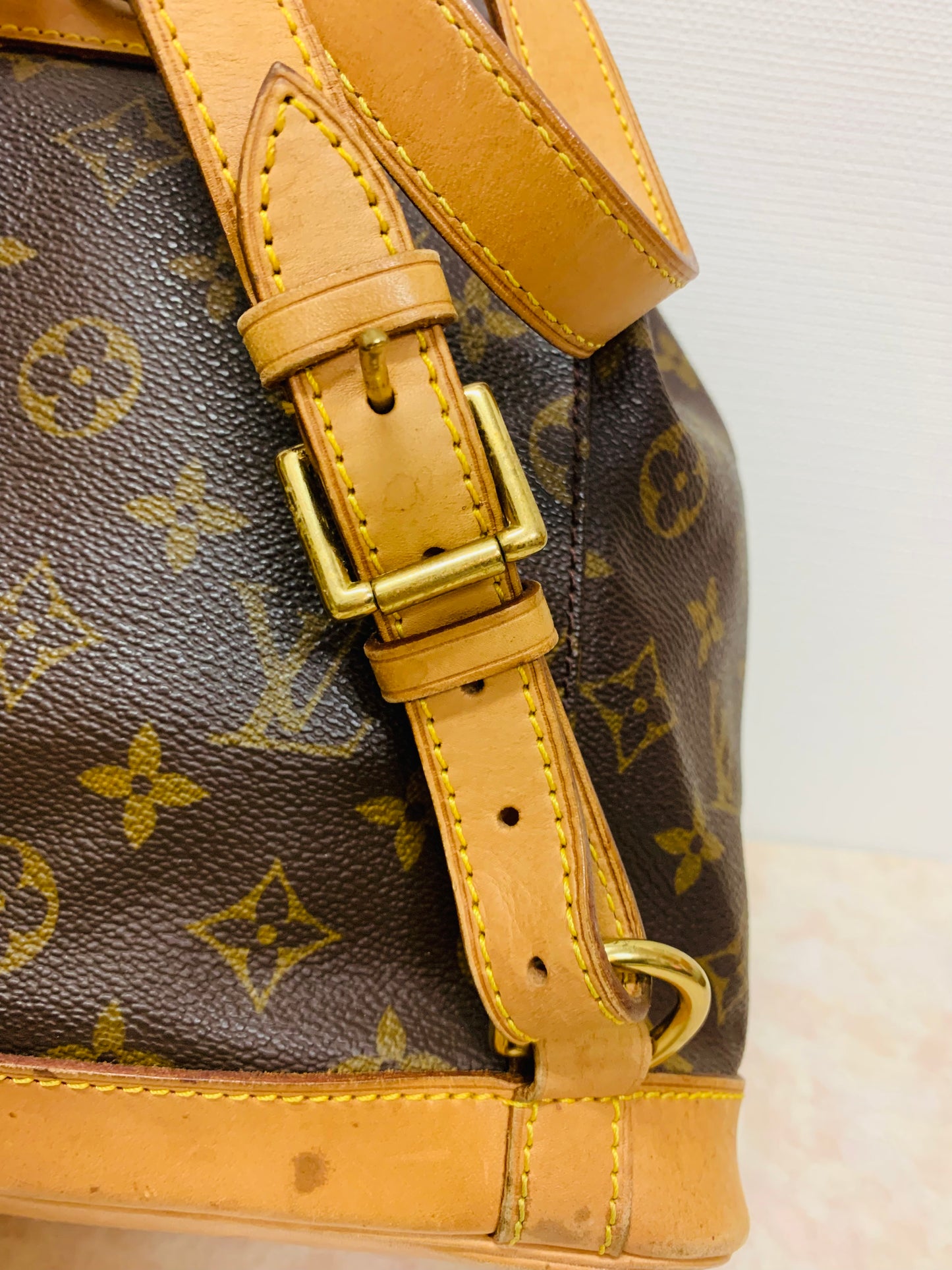 LOUIS VUITTON Montsouris MM Backpack