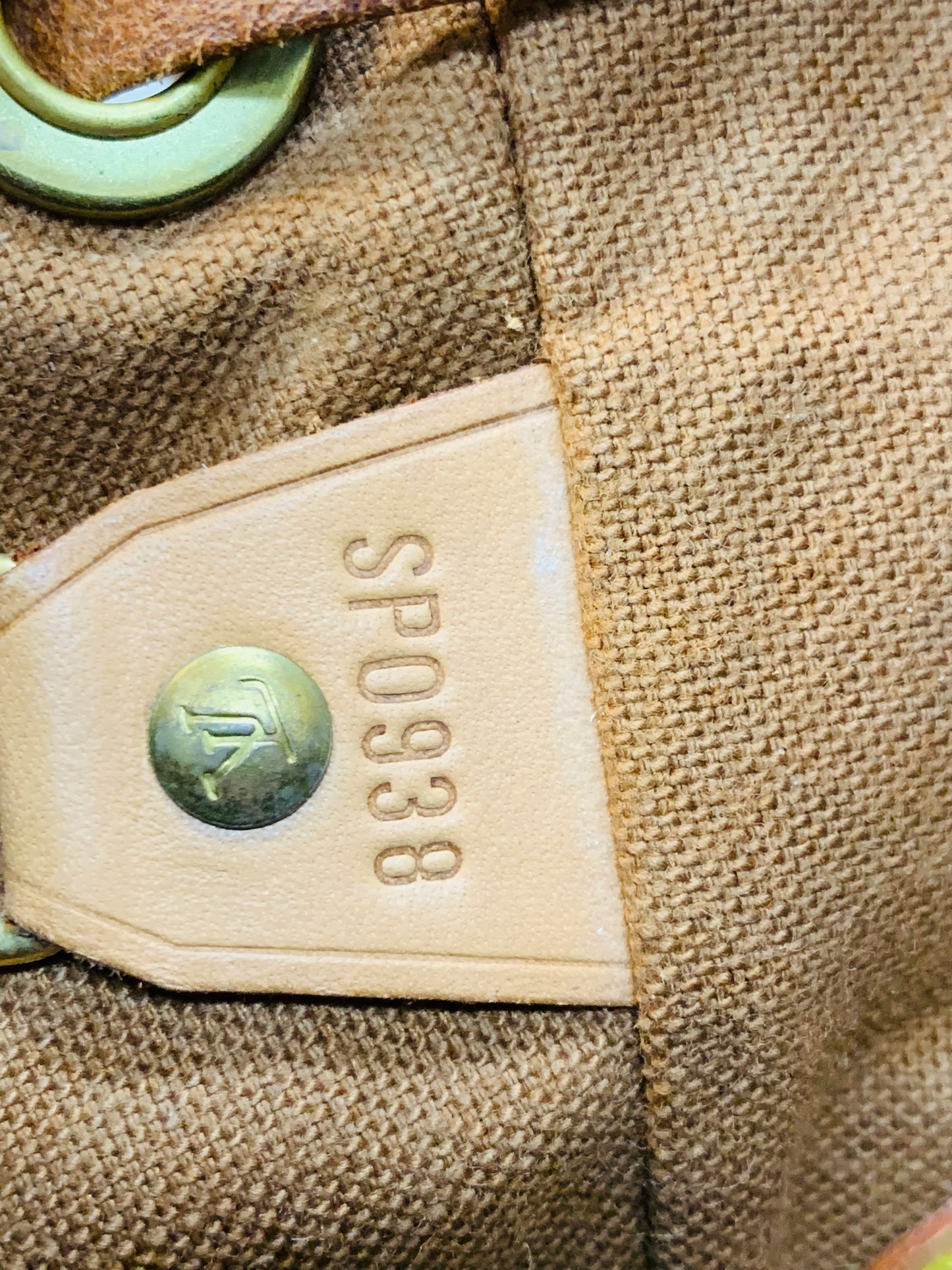 LOUIS VUITTON Montsouris MM Monogram