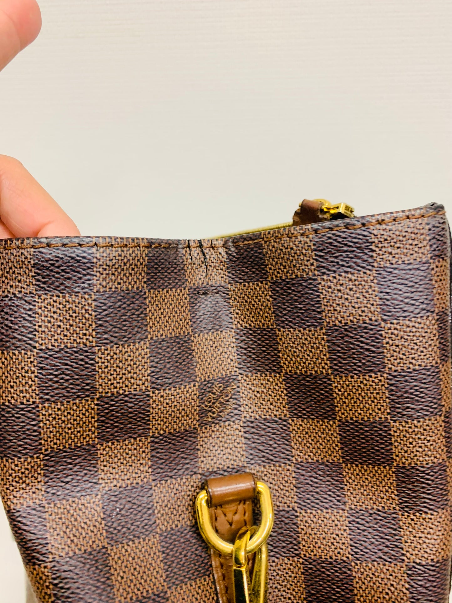 Used Louis Vuitton Greenwich 2way bag DE