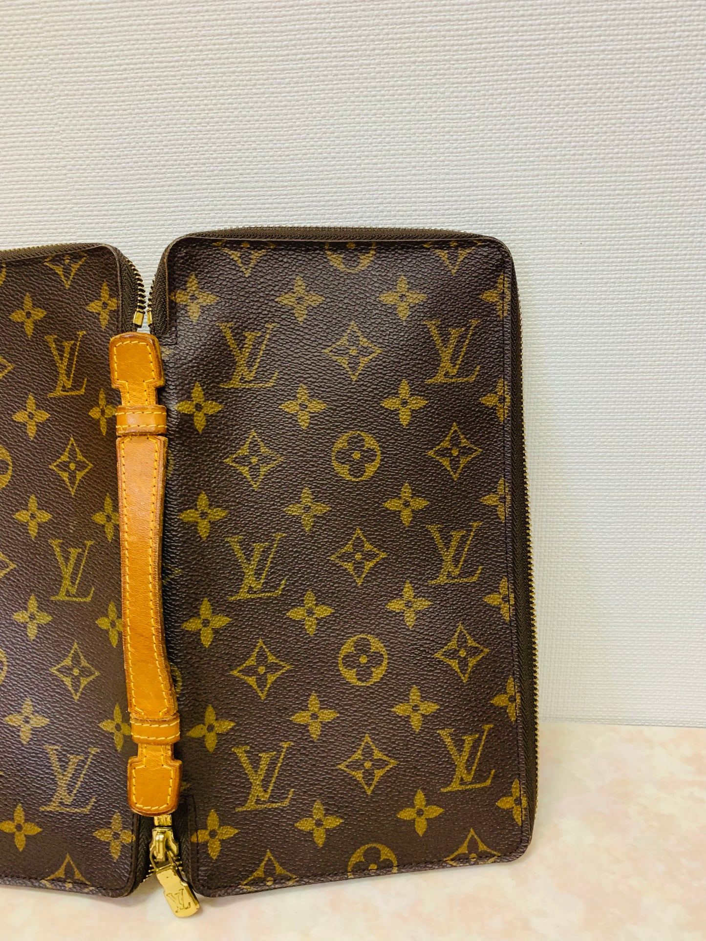 LOUIS VUITTON TRAVEL ORGANIZER