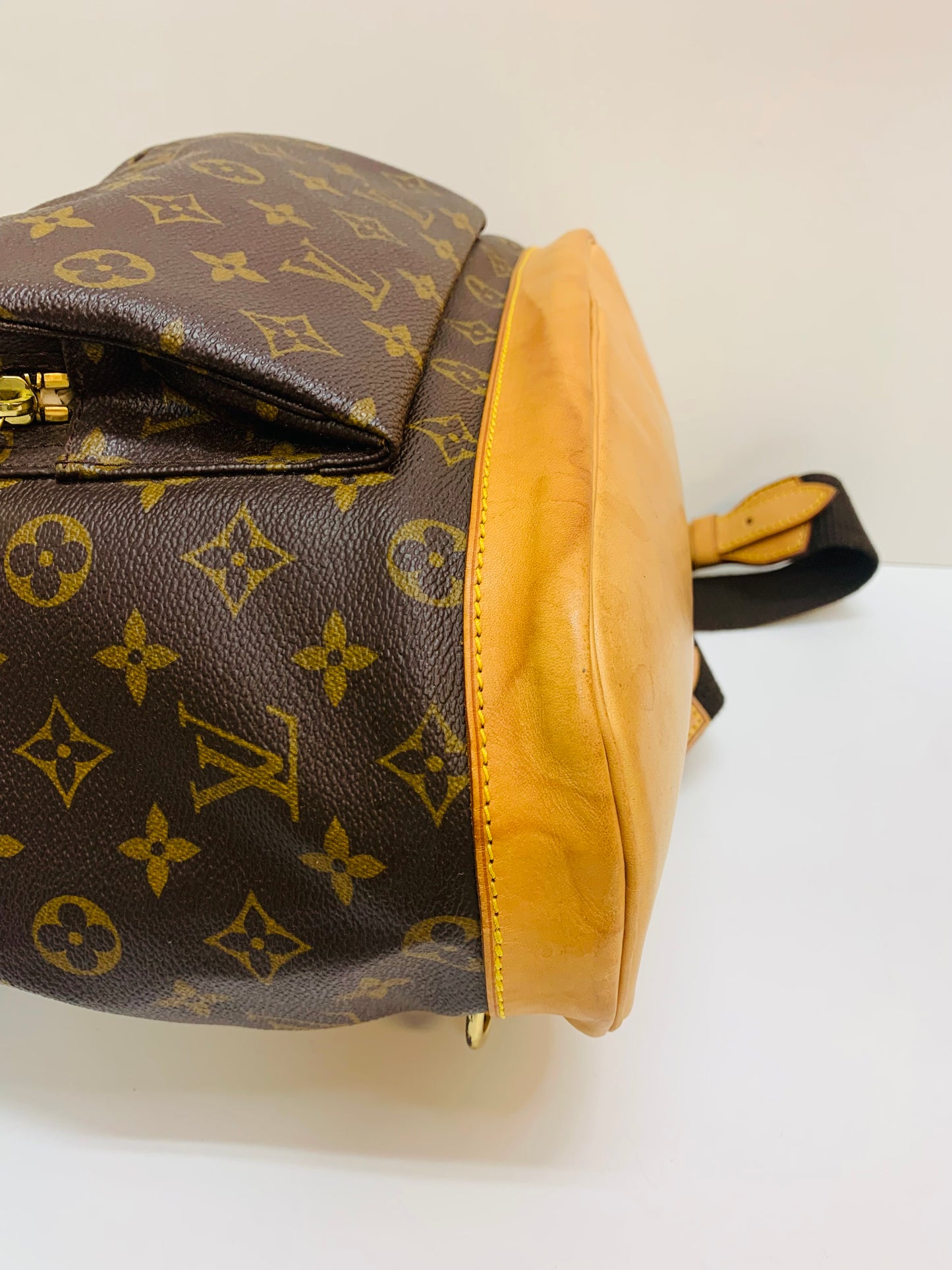 Louis Vuitton Montsouris GM