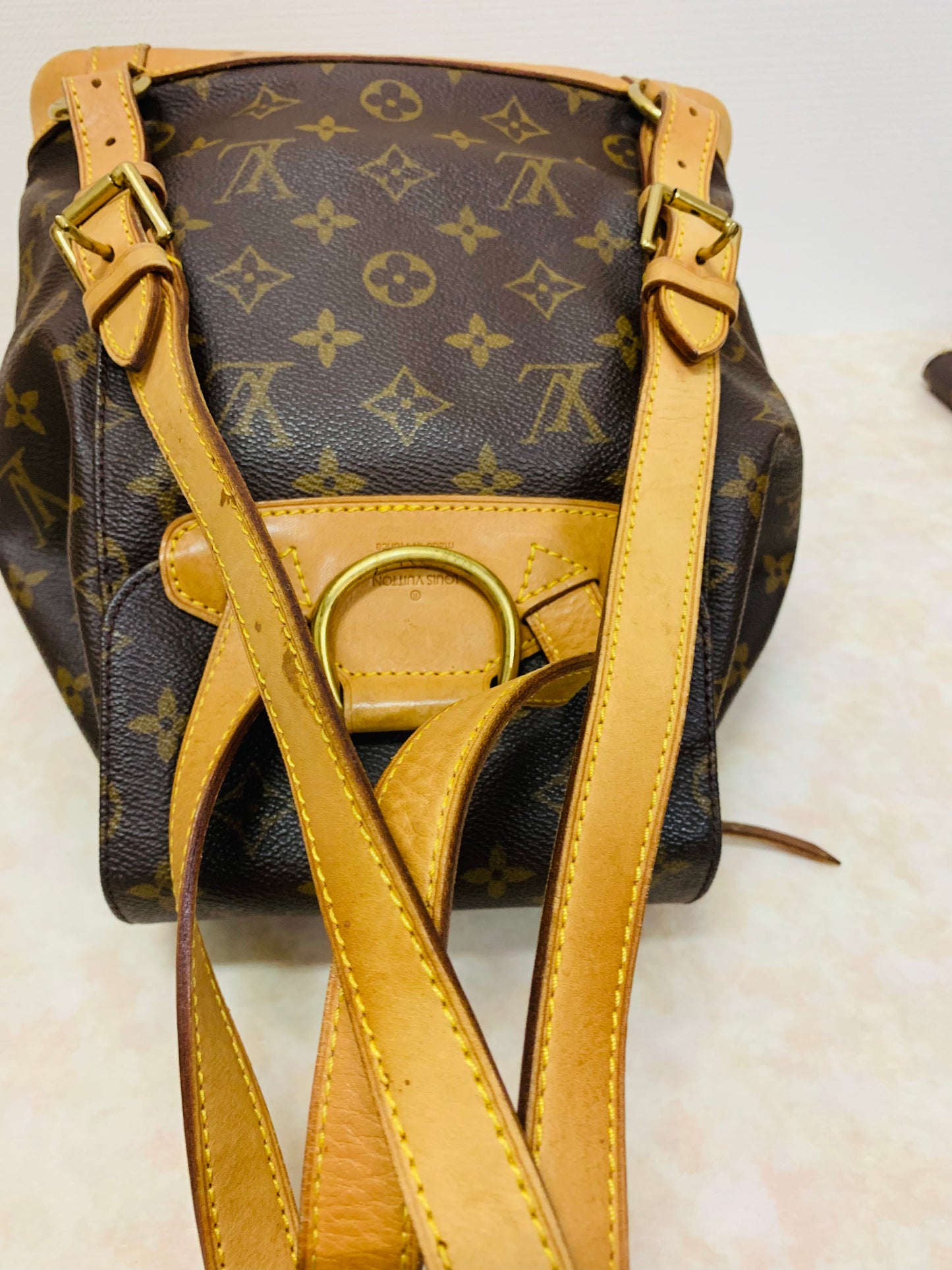 LOUIS VUITTON Montsouris MM Backpack