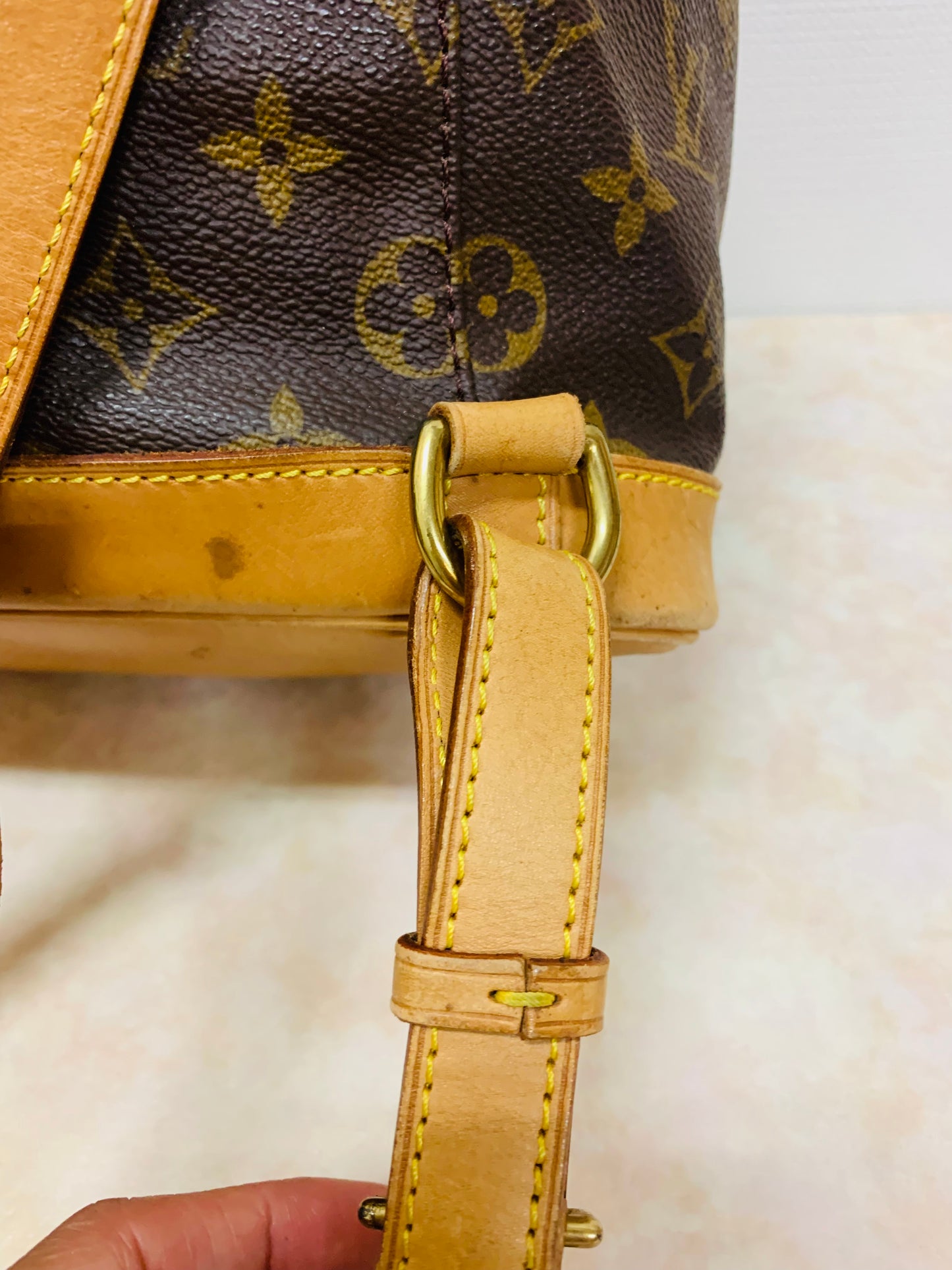 LOUIS VUITTON Montsouris MM Backpack