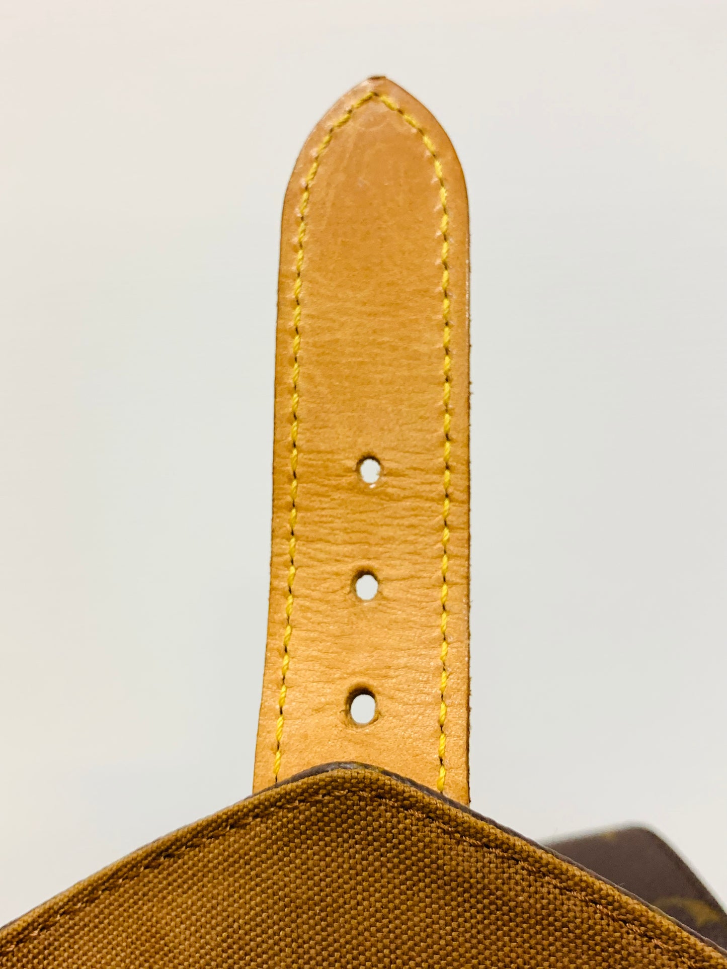 LOUIS VUITTON Montsouris GM