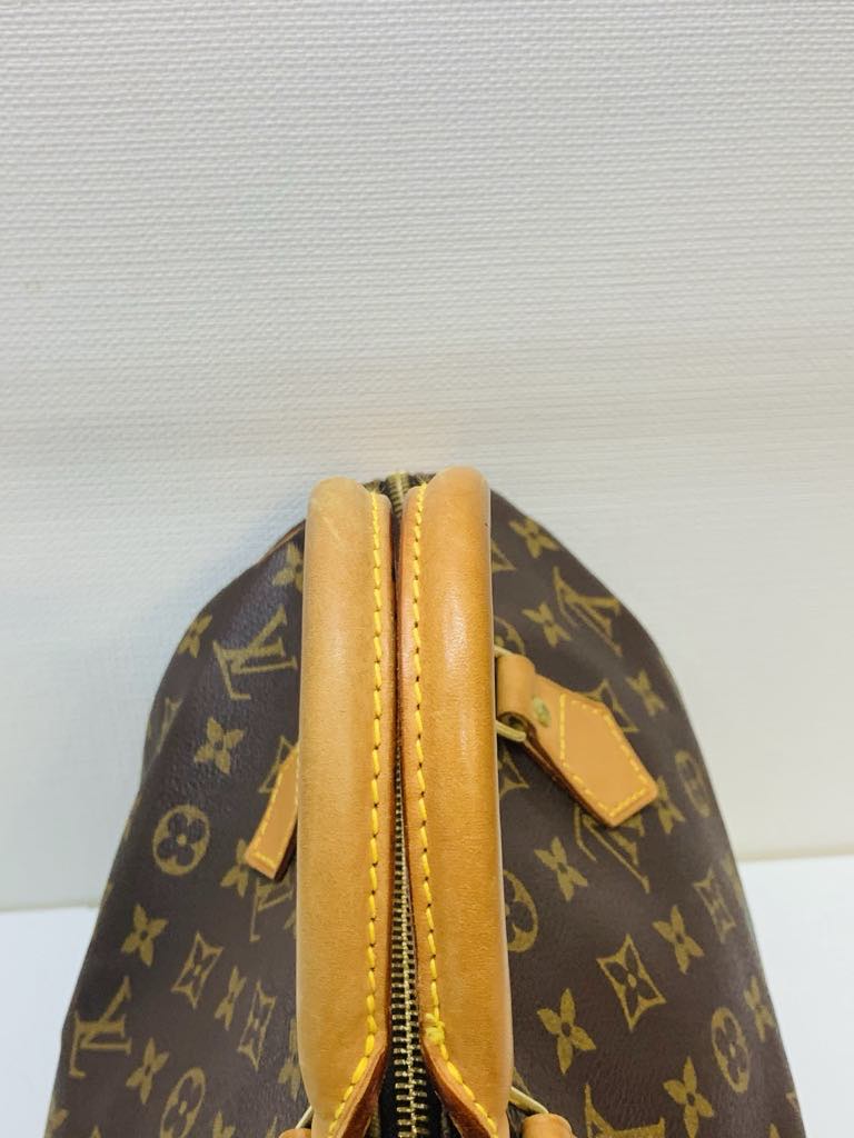 LOUIS VUITTON Speedy 30 Monogram