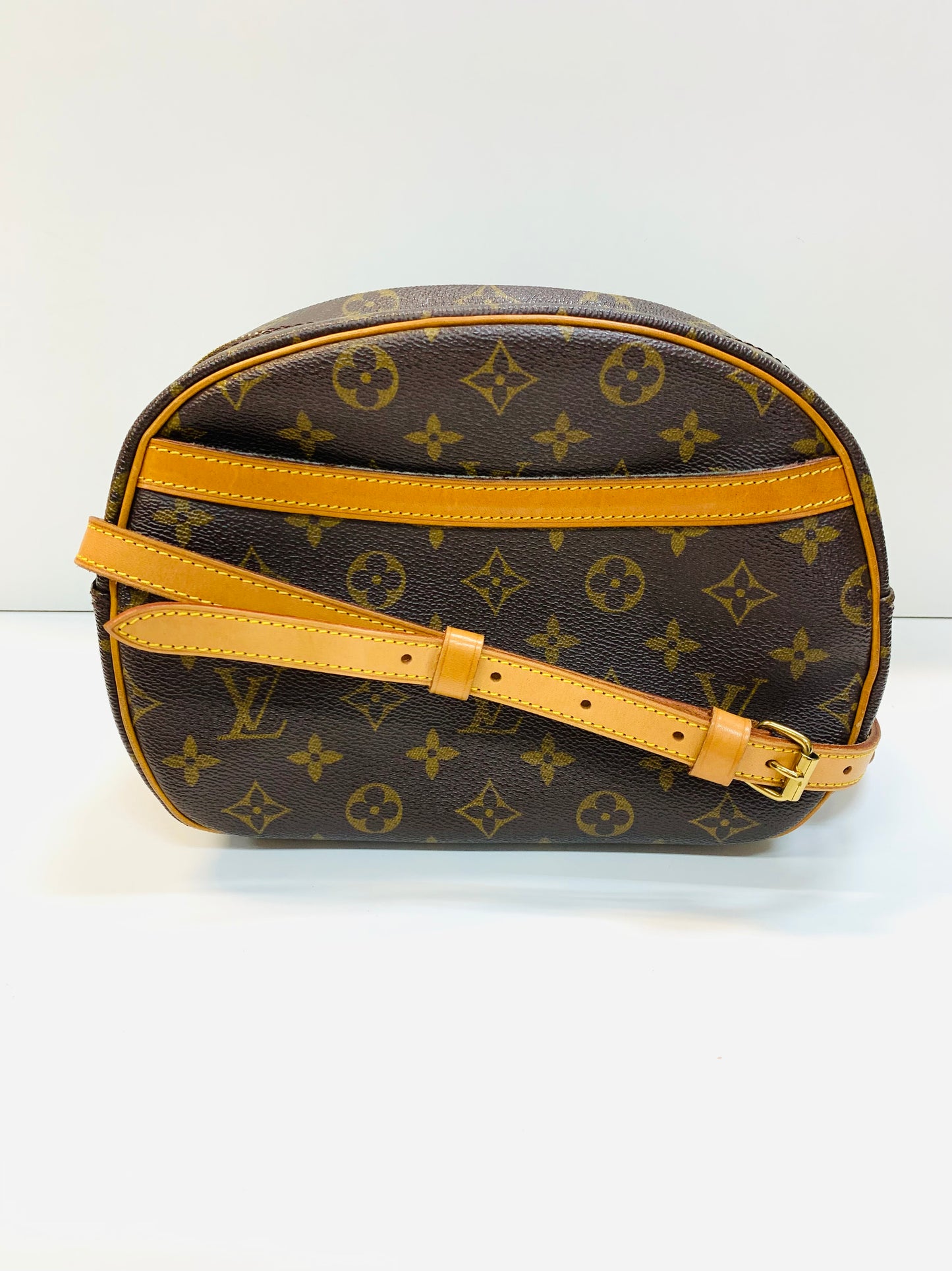 Louis Vuitton Blois (used)
