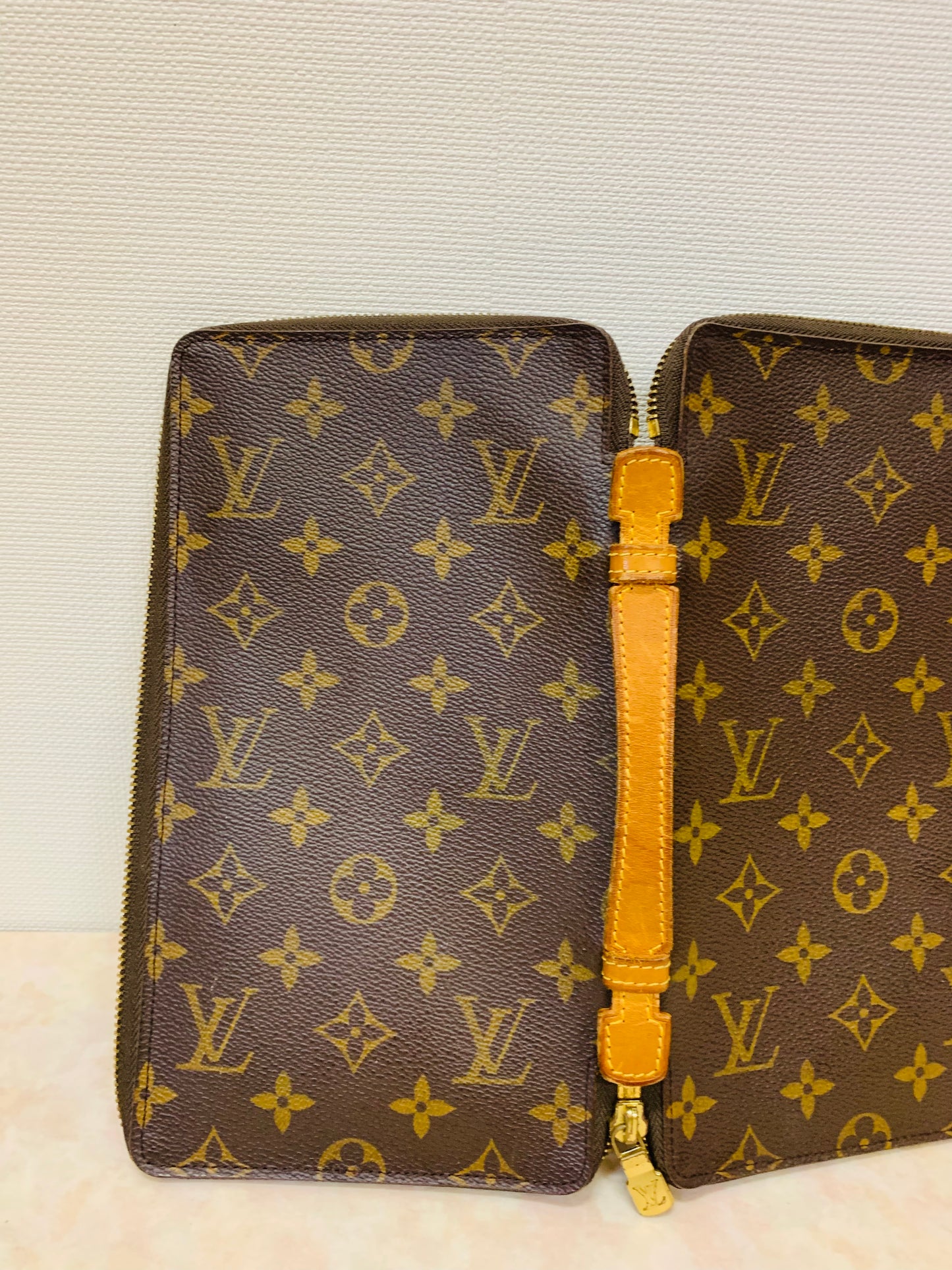 LOUIS VUITTON TRAVEL ORGANIZER