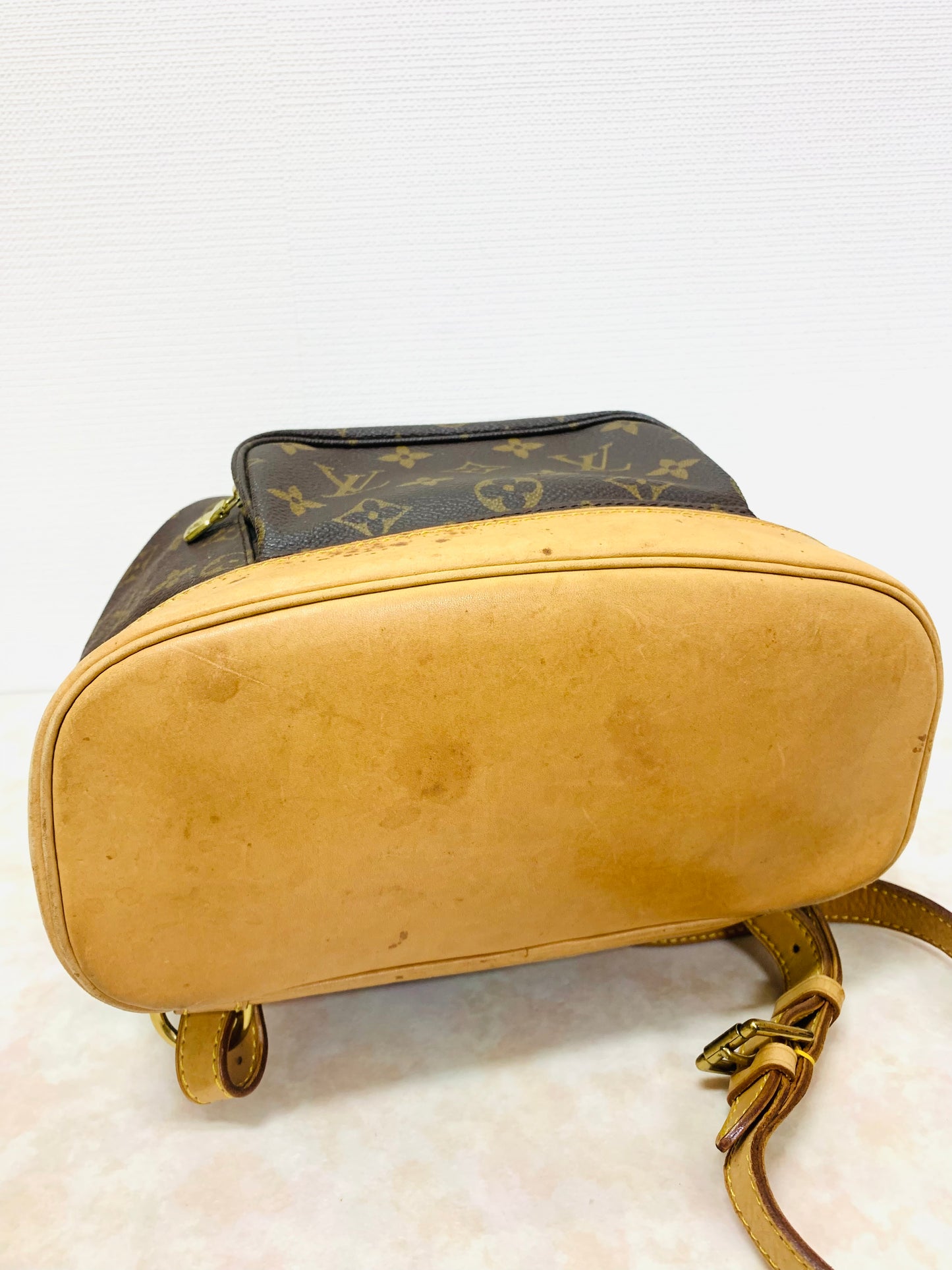 LOUIS VUITTON Montsouris MM Backpack