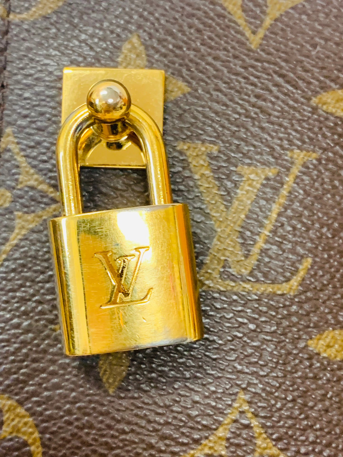 LOUIS VUITTON LOCK POUCH