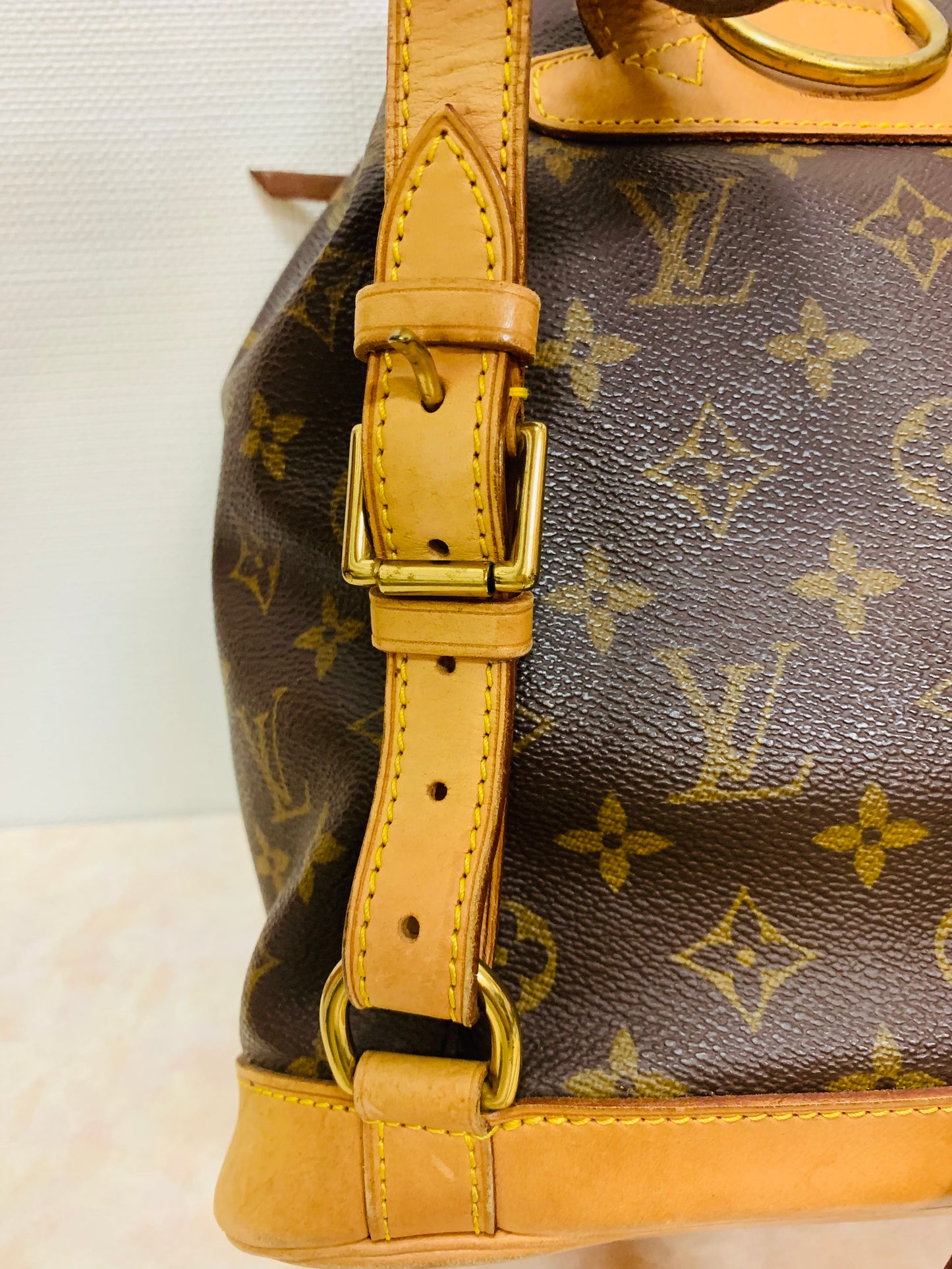 LOUIS VUITTON Montsouris MM Backpack
