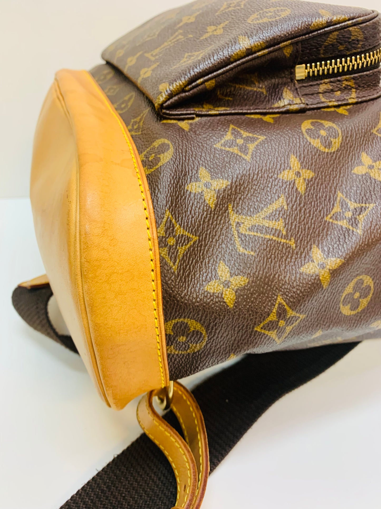 Louis Vuitton Montsouris GM
