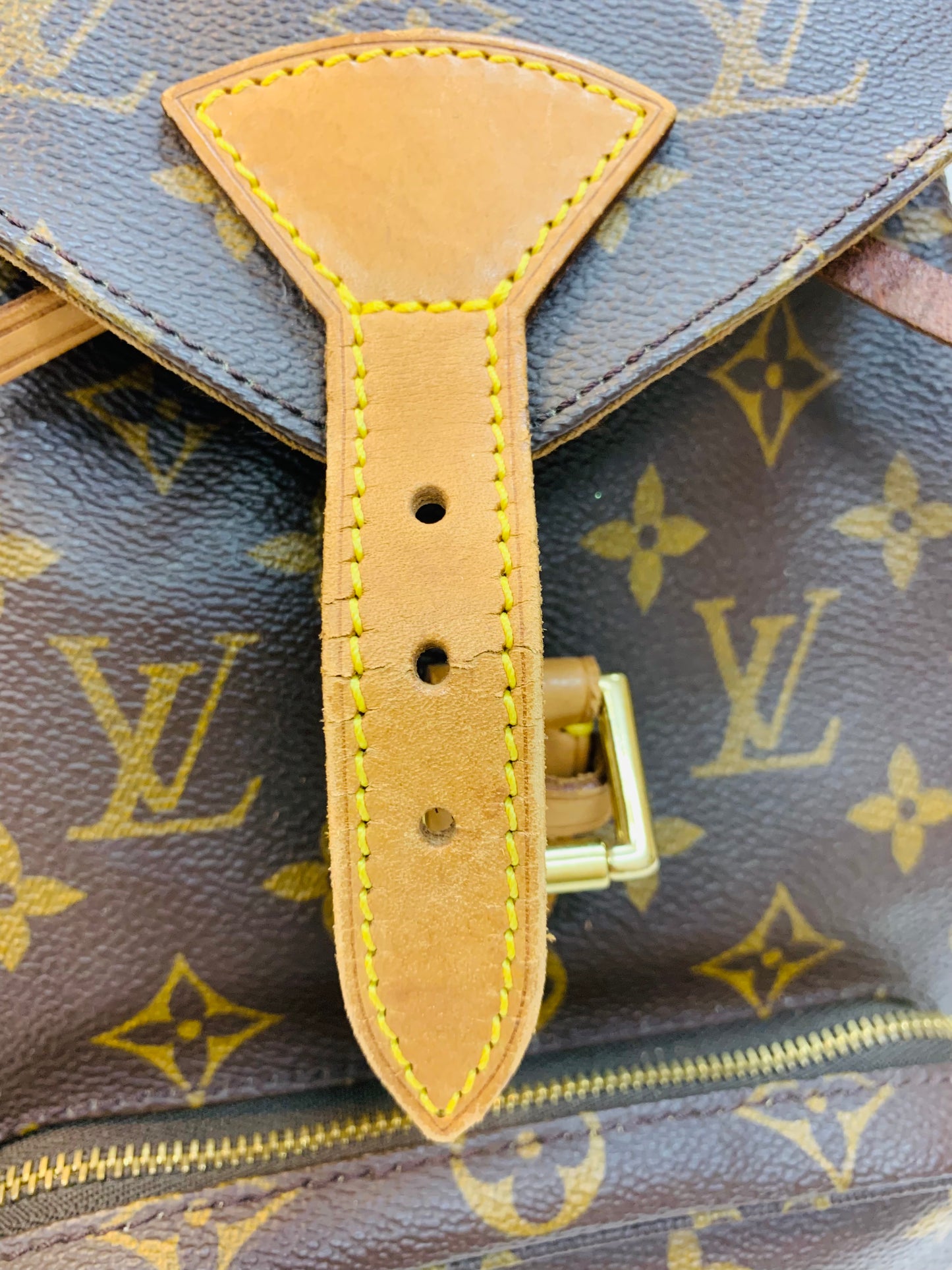 LOUIS VUITTON Montsouris MM Monogram