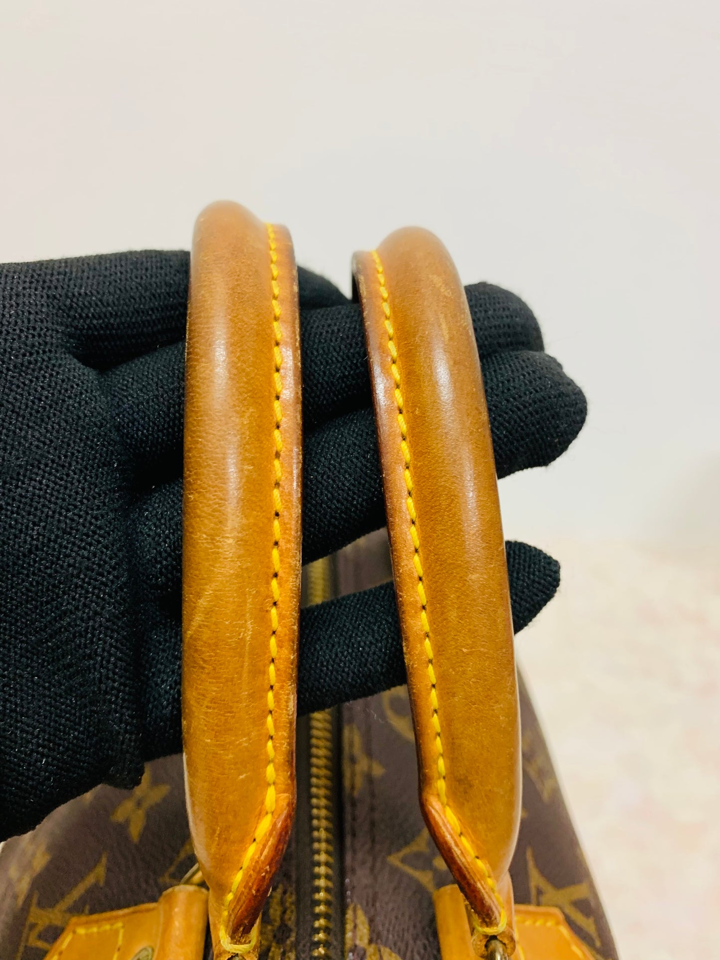 LOUIS VUITTON Speedy 30 Monogram