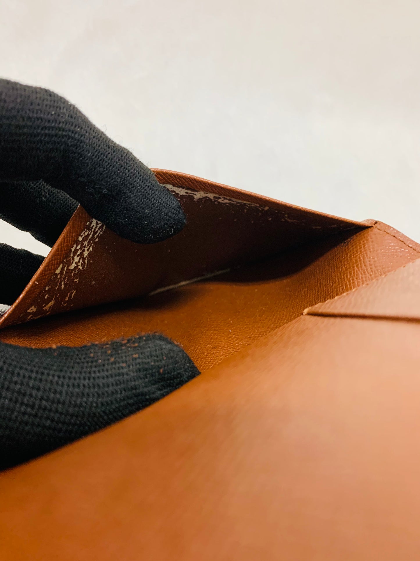 LOUIS VUITTON Passport Case Monogram