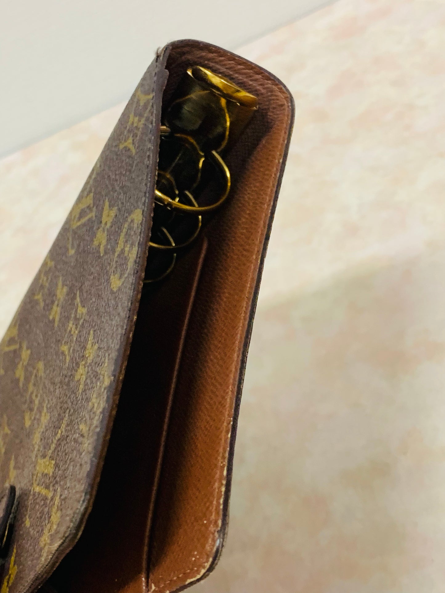 LOUIS VUITTON Agenda MM