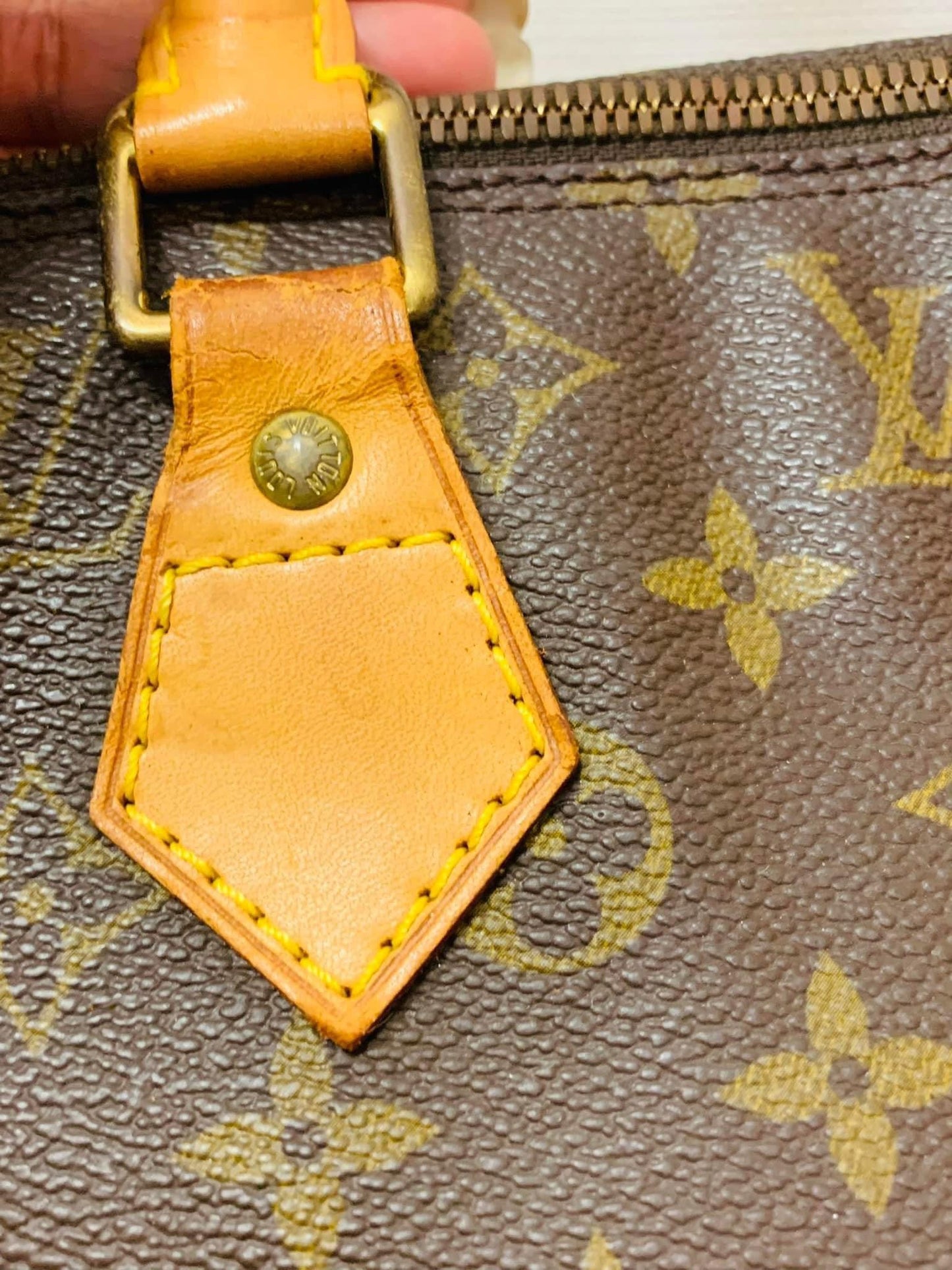 LOUIS VUITTON ALMA PM