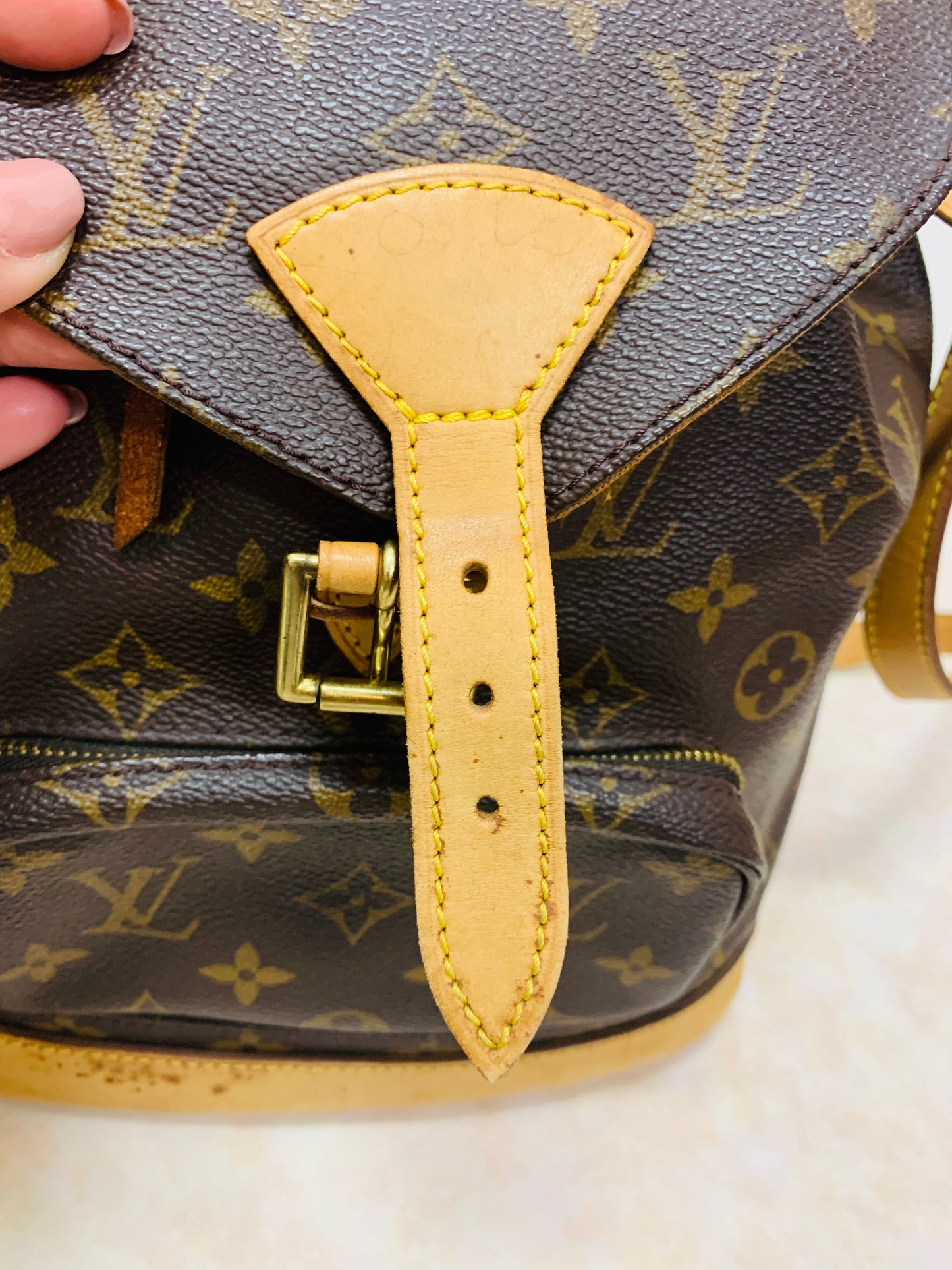 LOUIS VUITTON Montsouris MM Backpack