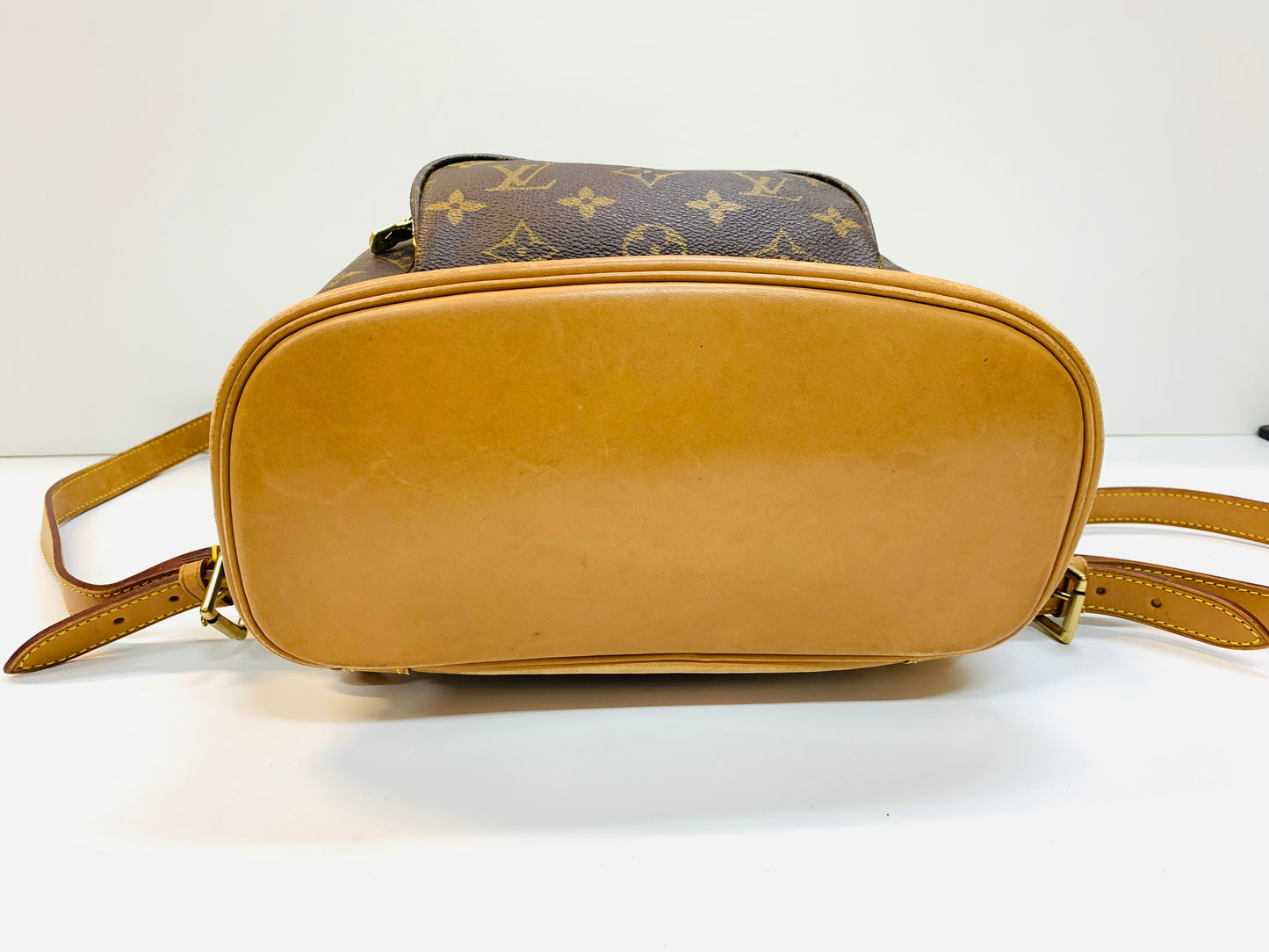 LOUIS VUITTON Montsouris MM Monogram