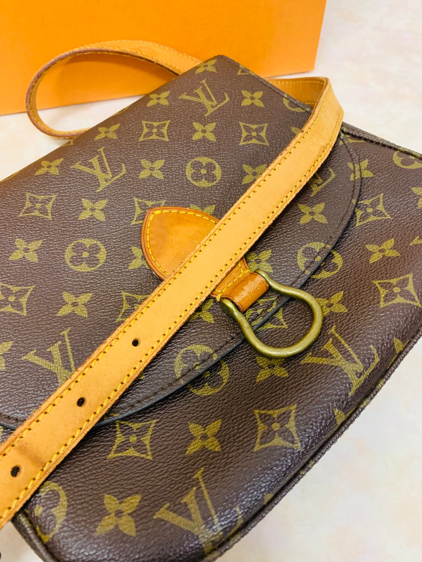 LOUIS VUITTON SAINT CLOUD GM