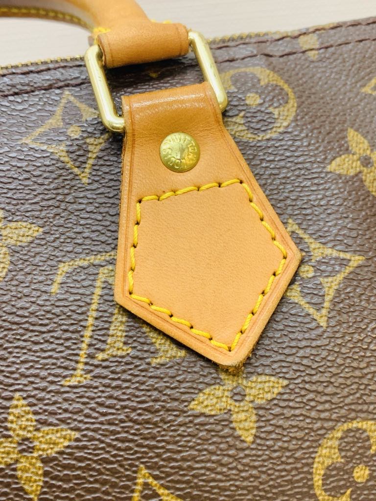 LOUIS VUITTON Speedy 30 Monogram