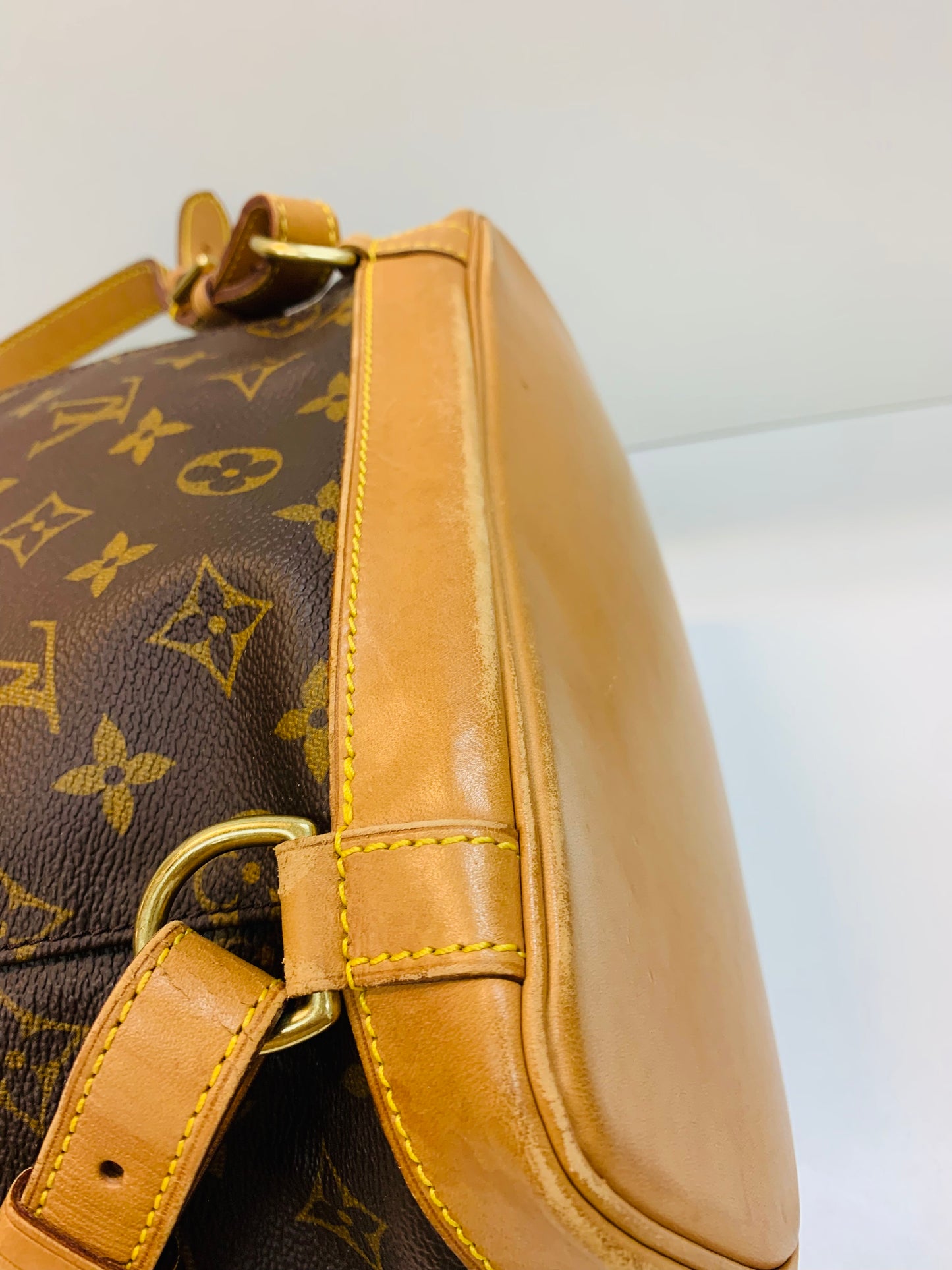 LOUIS VUITTON Montsouris MM Monogram
