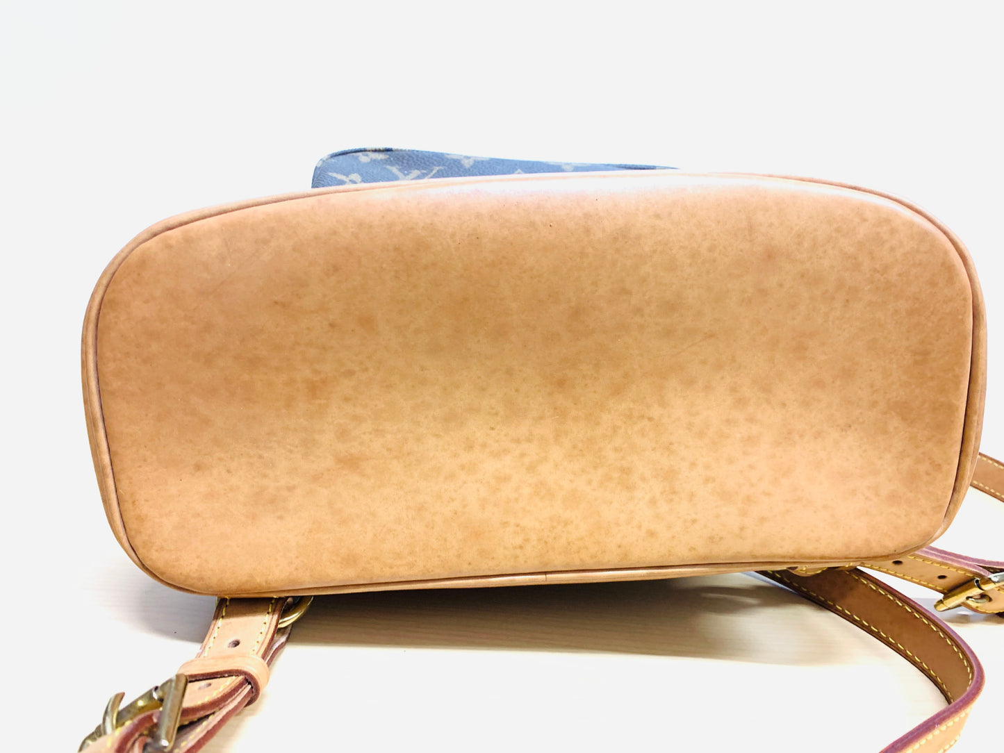 Louis Vuitton Montsouris MM Monogram