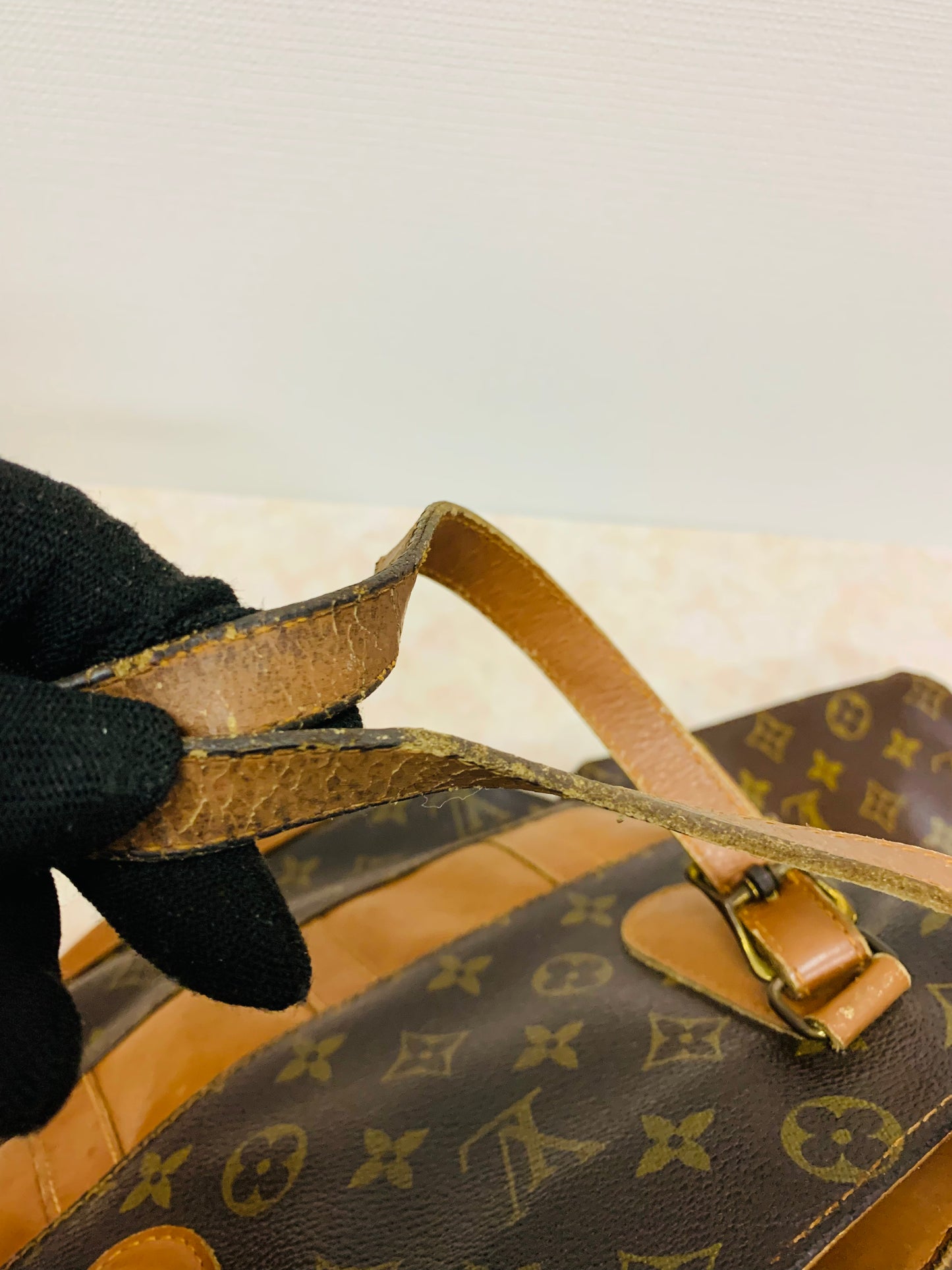 LOUIS VUITTON Bucket PM French &Co with Kiss lock pouch