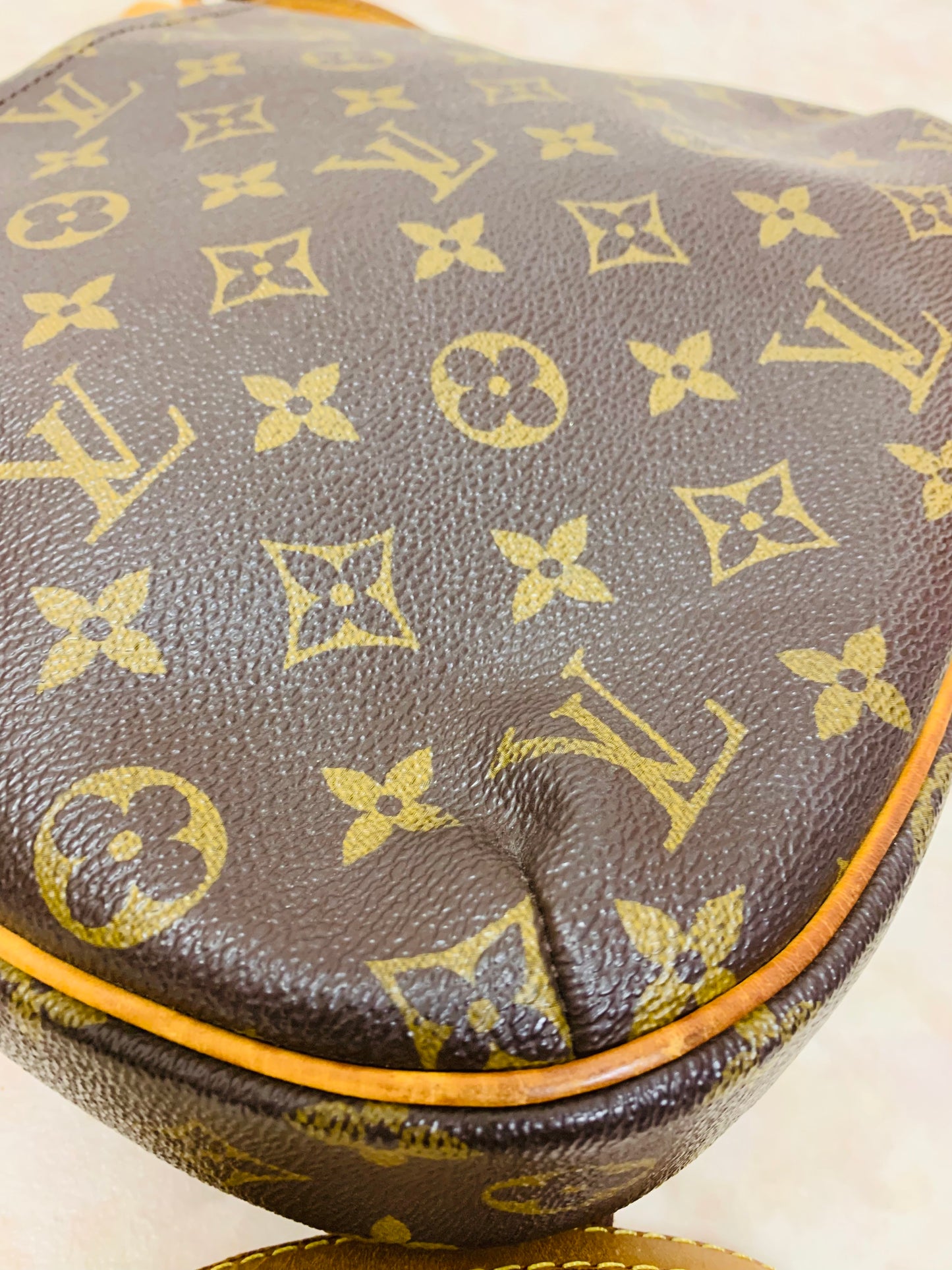 LOUIS VUITTON  Odeon PM Crosbody