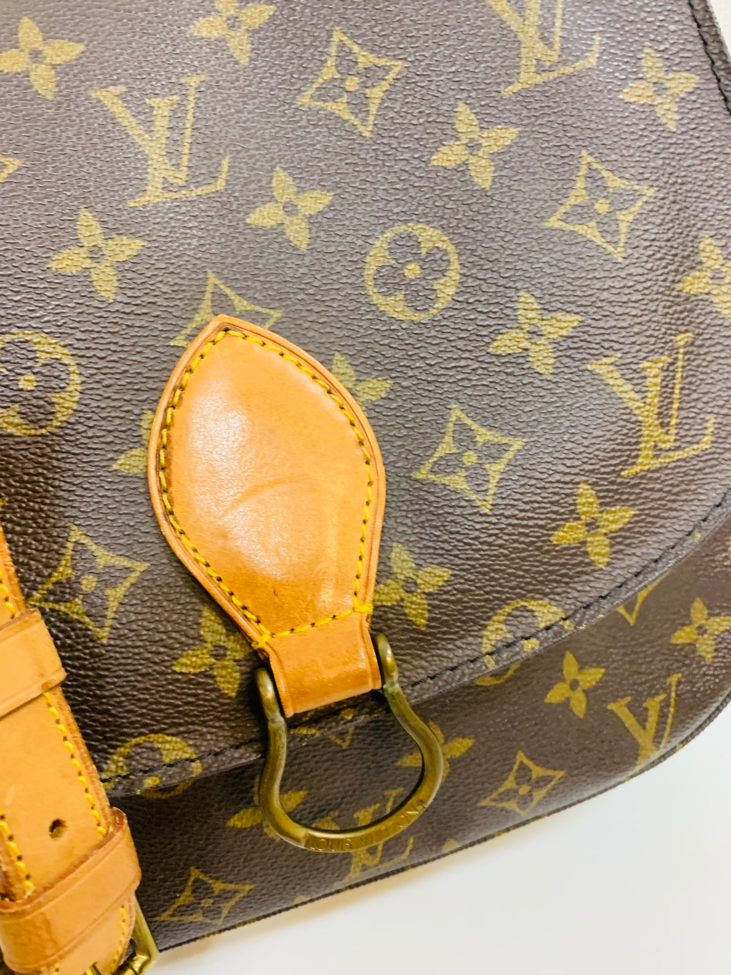 LOUIS VUITTON SAINT CLOUD GM