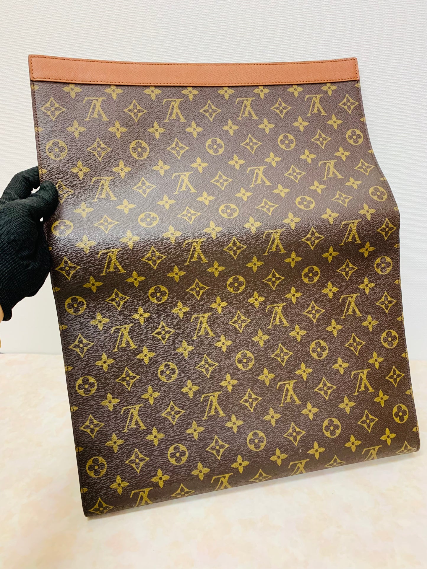 LOUIS VUITTON Pochette Envelope Document clutch