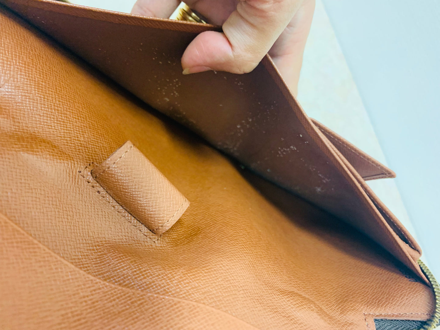 LOUIS VUITTON Monogram Travel OrganizeR