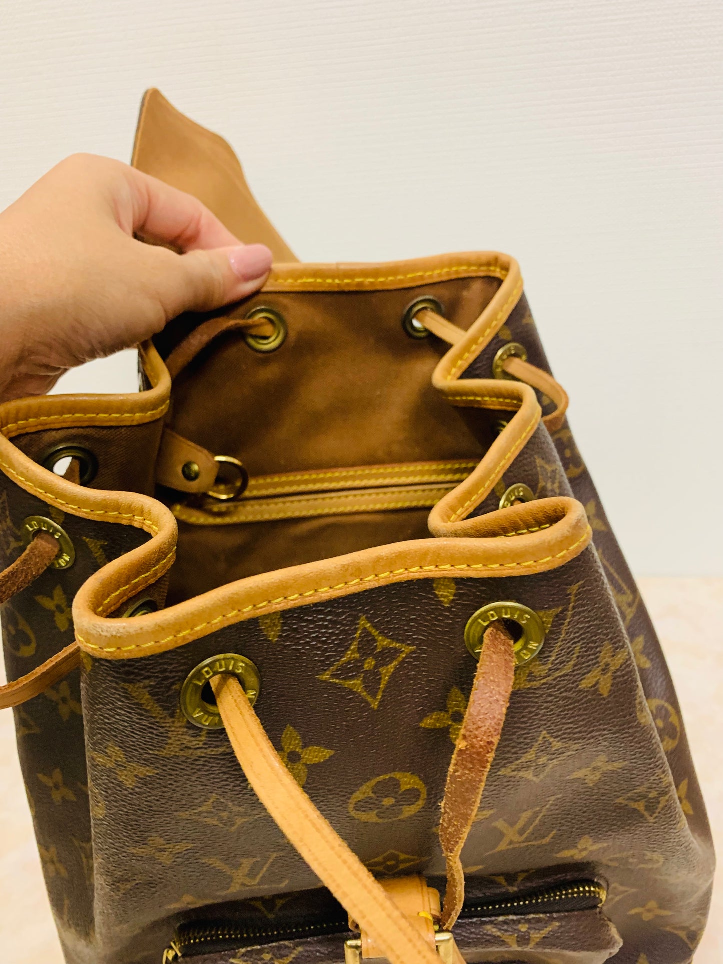 LOUIS VUITTON Montsouris MM Backpack