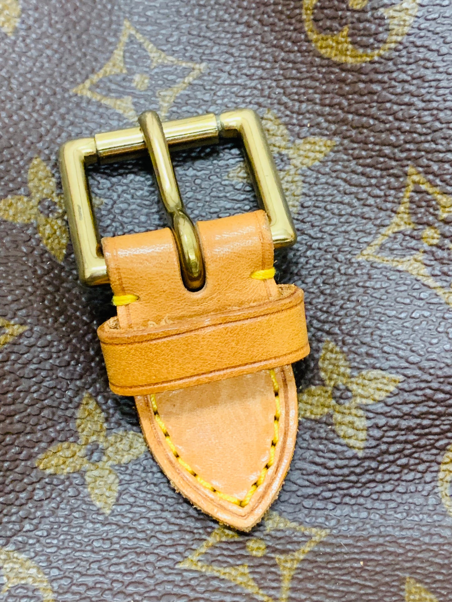 LOUIS VUITTON Montsouris GM