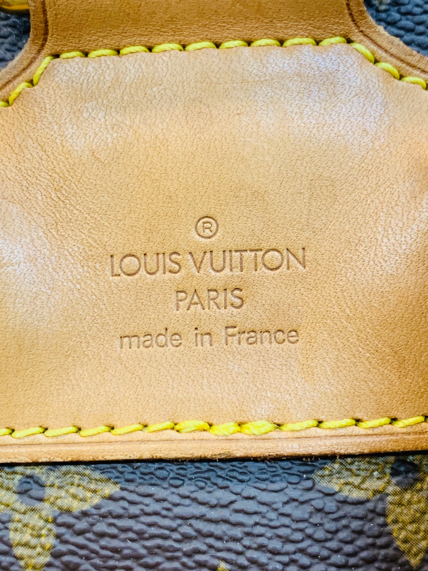 LOUIS VUITTON Montsouris MM Monogram
