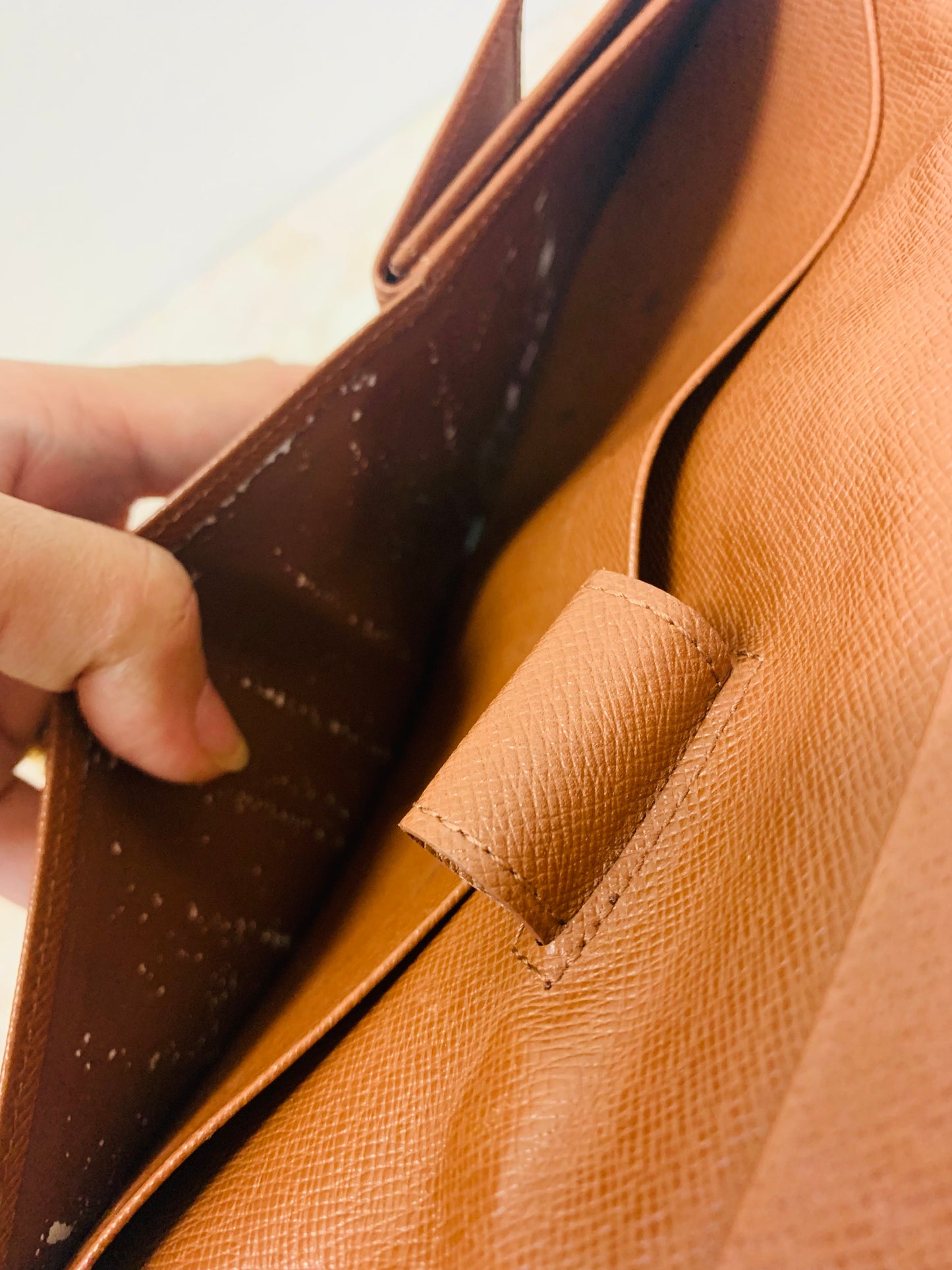 LOUIS VUITTON Monogram Travel OrganizeR