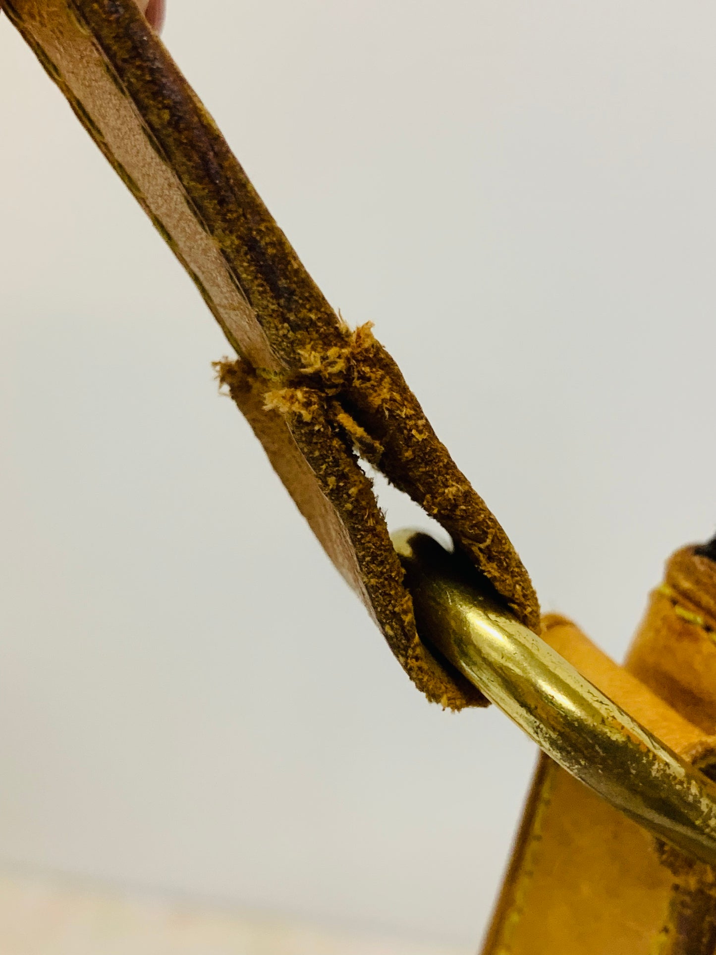 LOUIS VUITTON ODEON PM