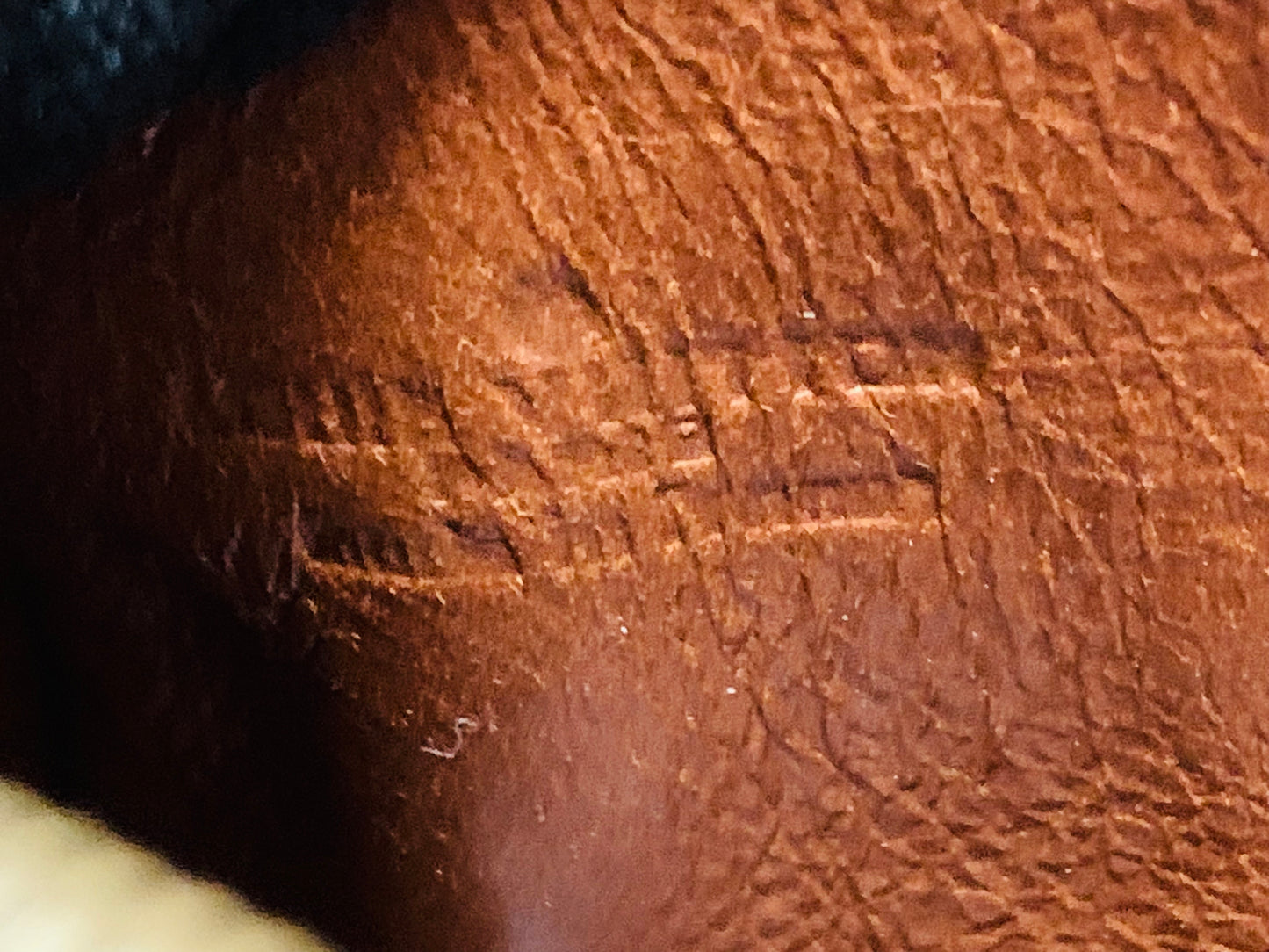 LOUIS VUITTON Golf Ball Pouch/Pen or lipstick case