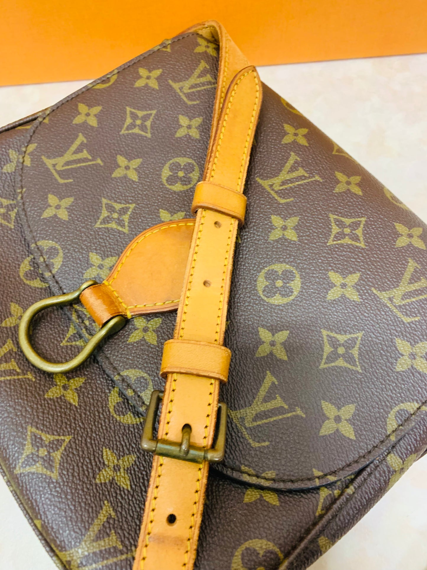 LOUIS VUITTON SAINT CLOUD GM