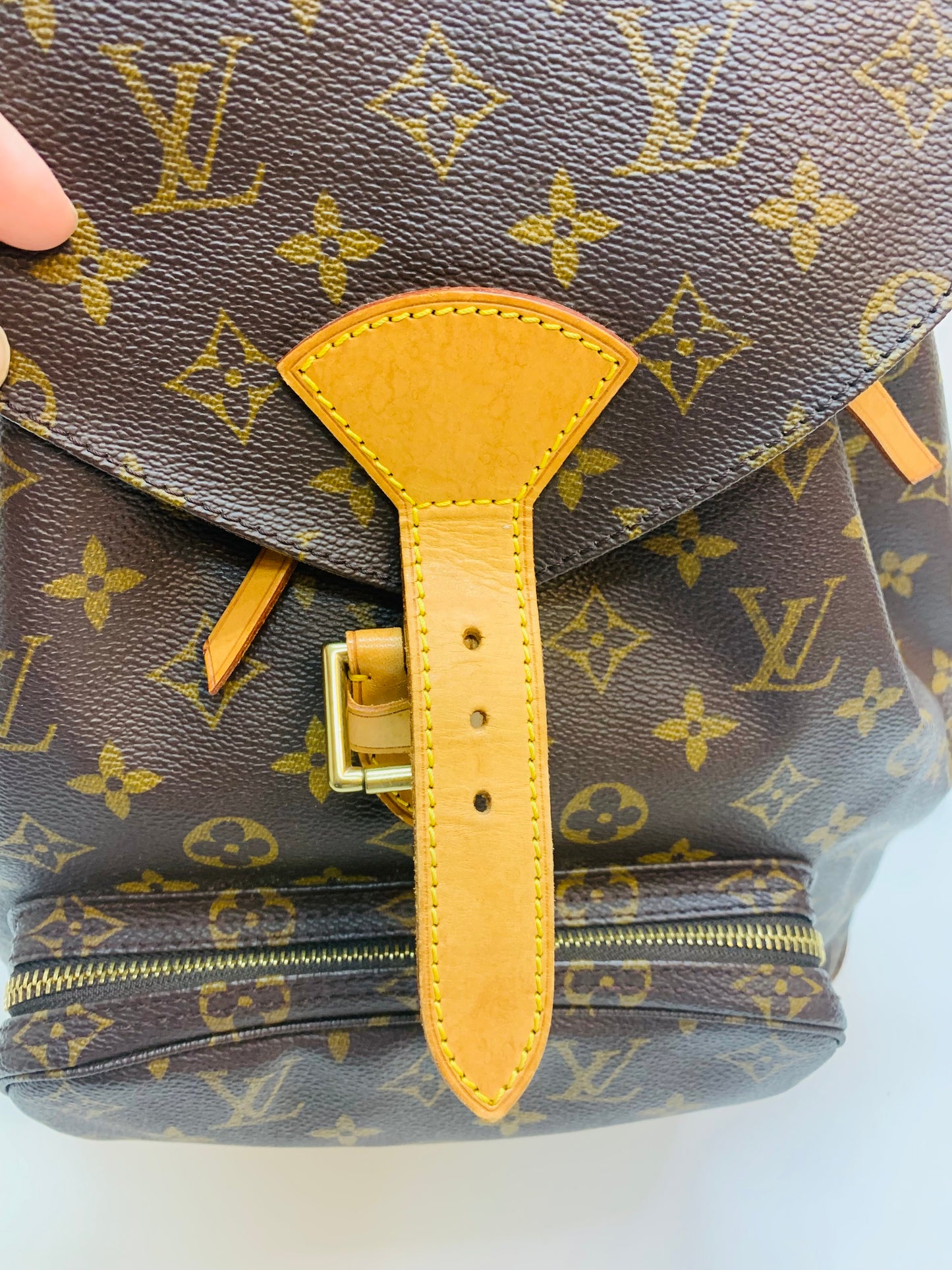 Louis Vuitton Montsouris GM