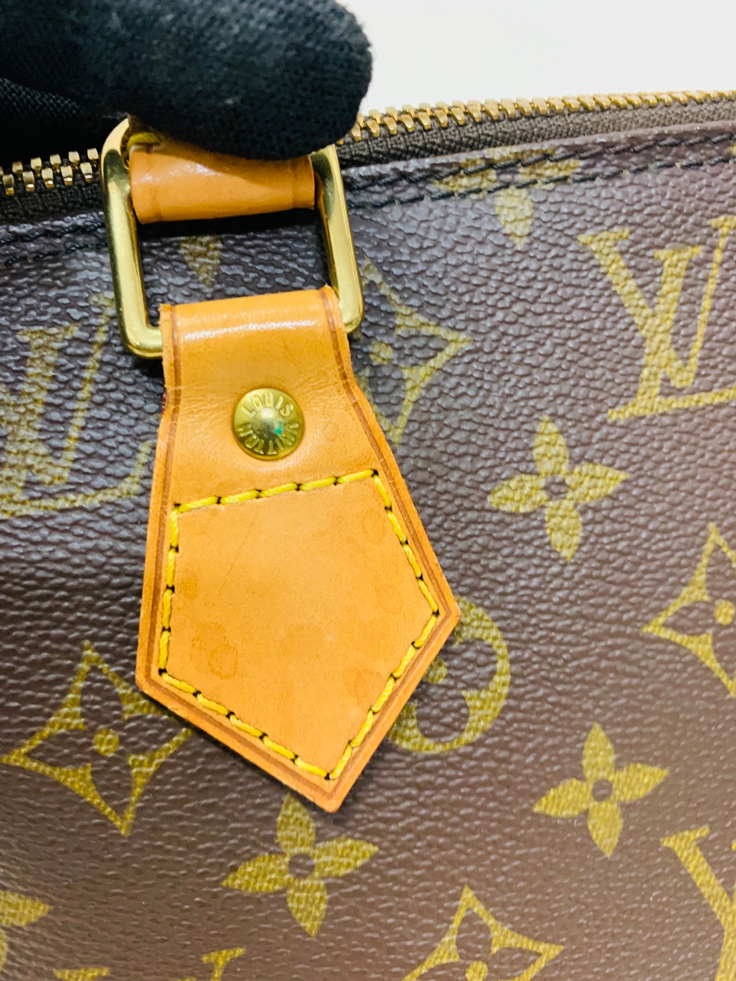 LOUIS VUITTON ALMA PM