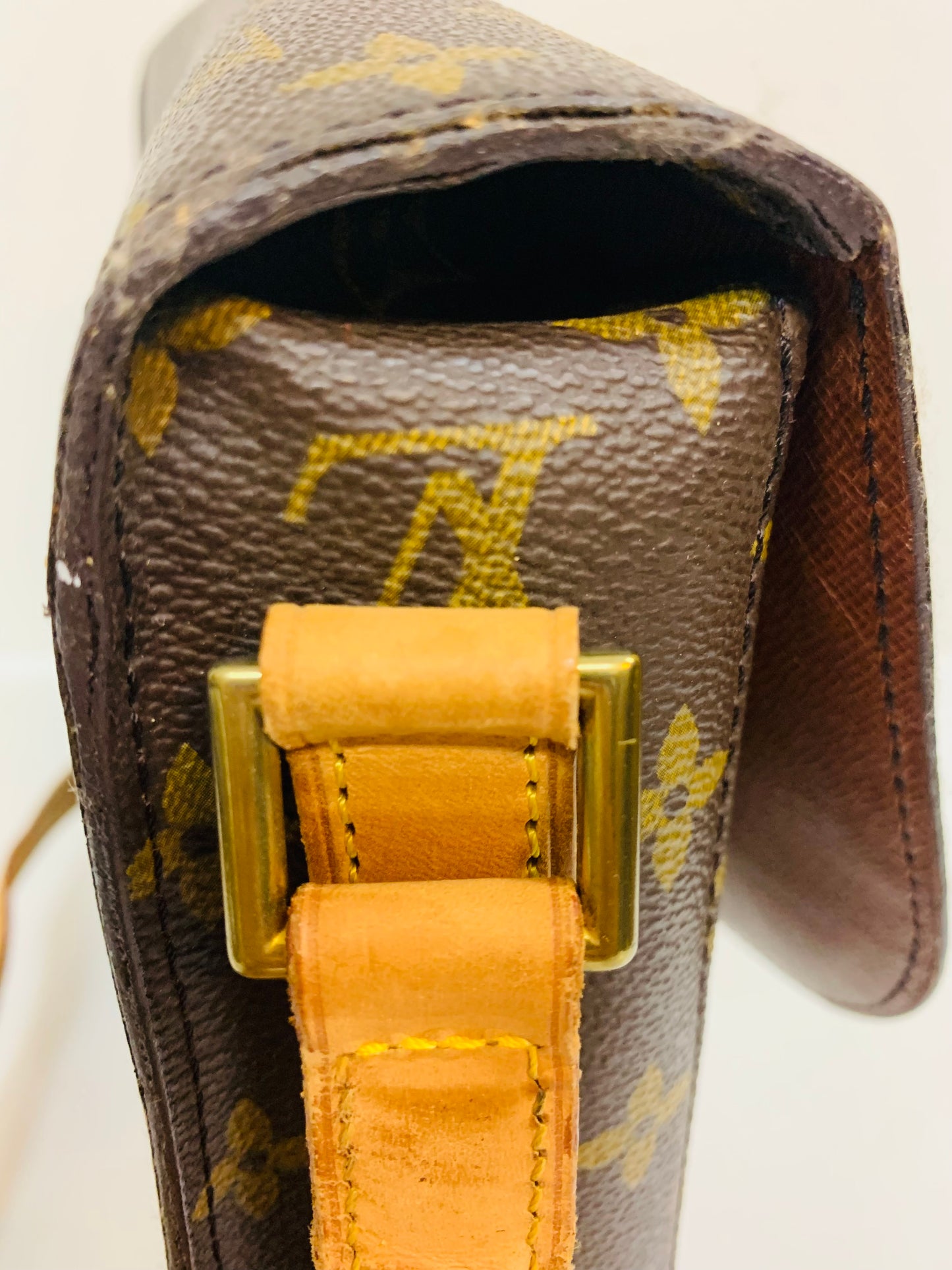 LOUIS VUITTON SAINT CLOUD GM