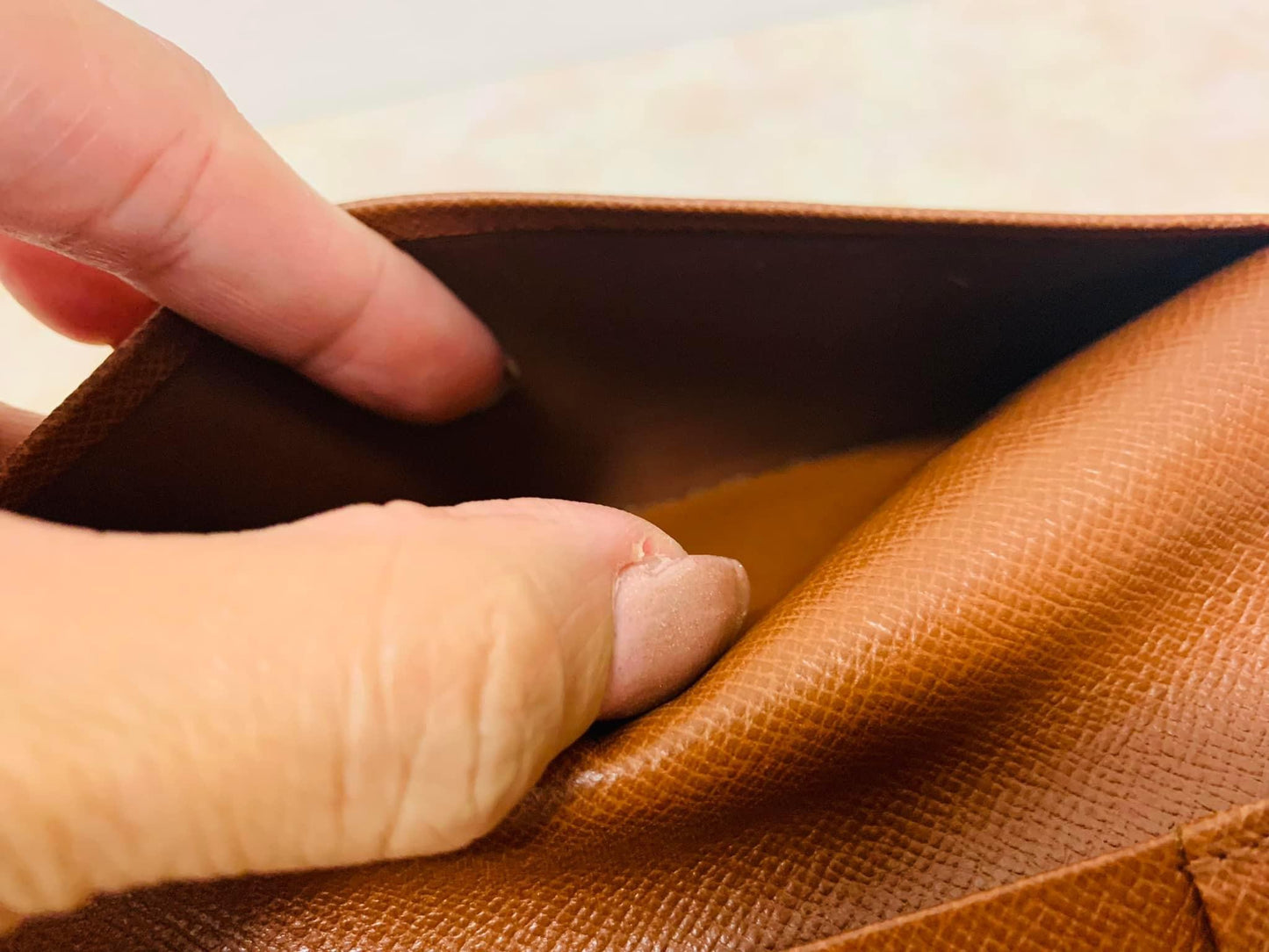 Louis Vuitton Passport Holder