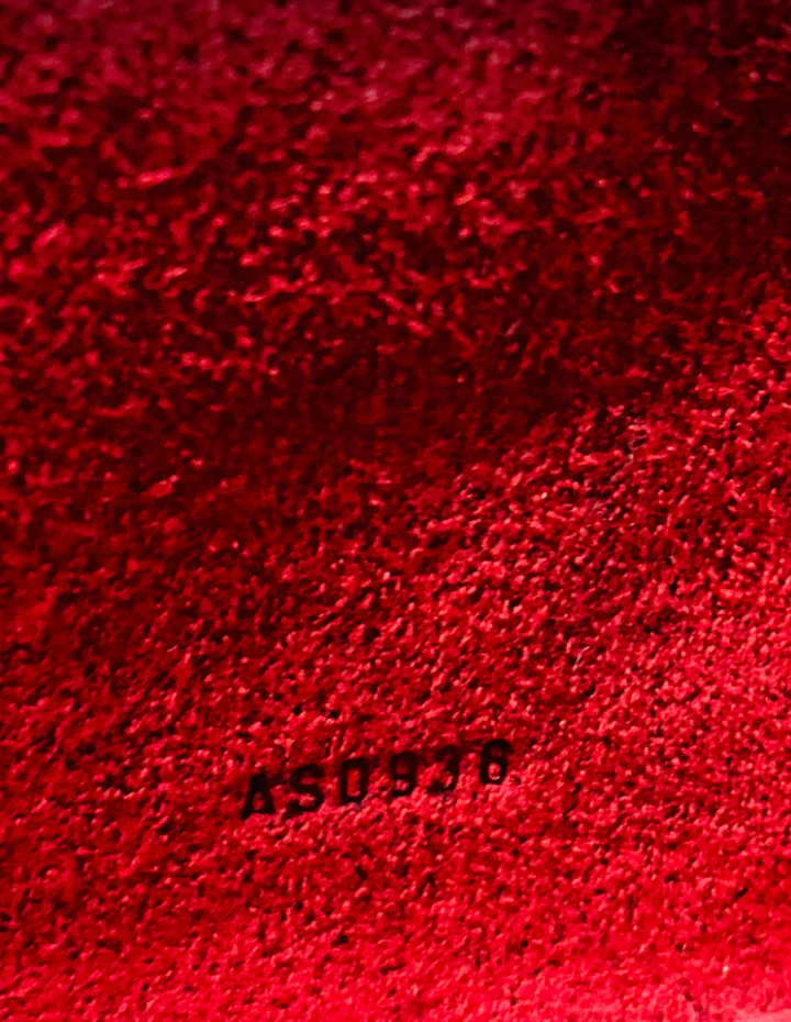 ❇️Cannes Vanity bag in Epi Red❇️