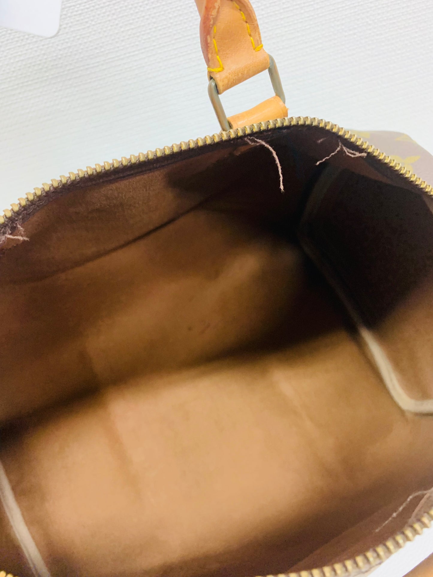 Used Louis Vuitton Speedy 30(Project)