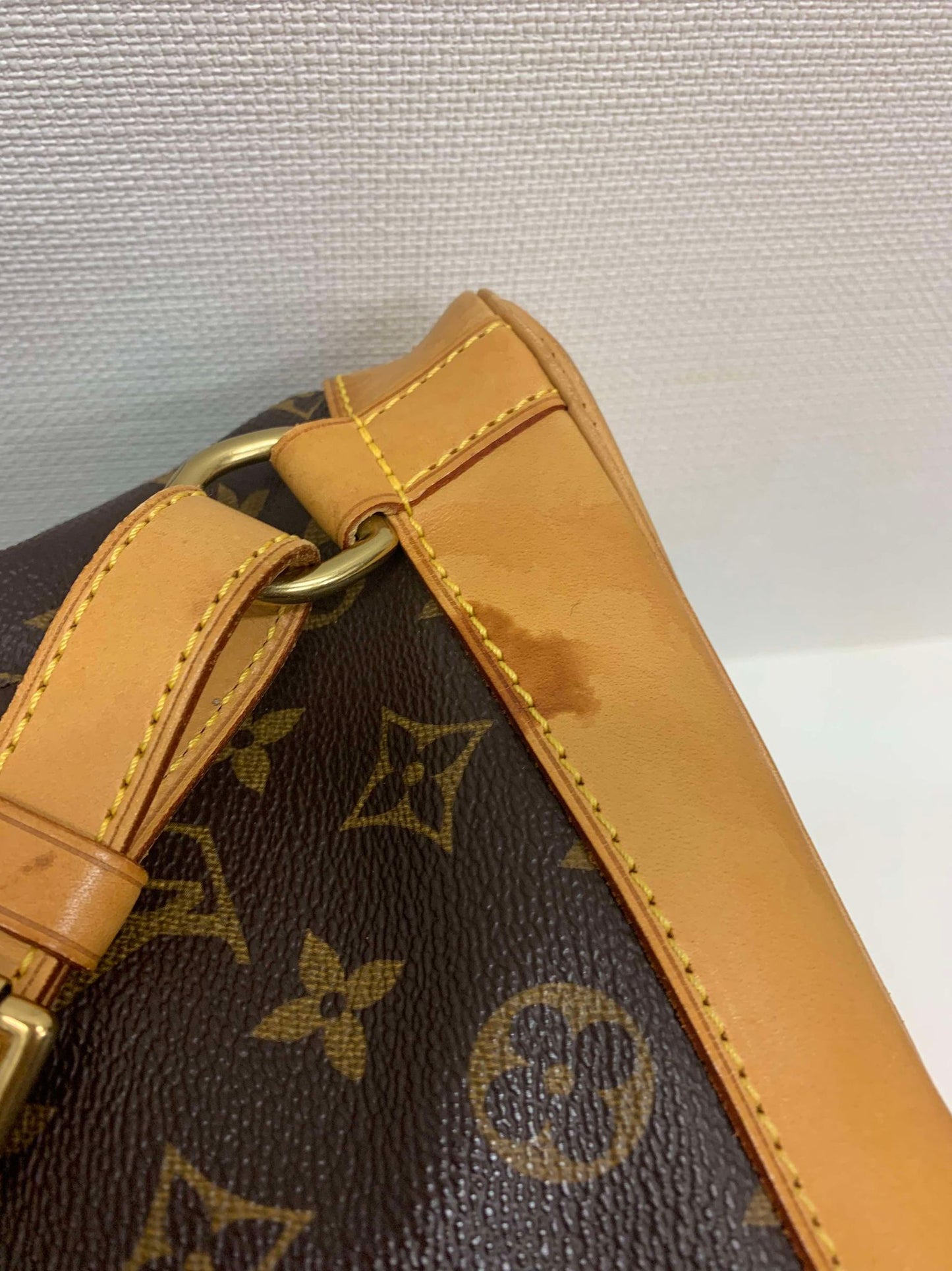 Authentic Louis Vuitton Montsouris GM