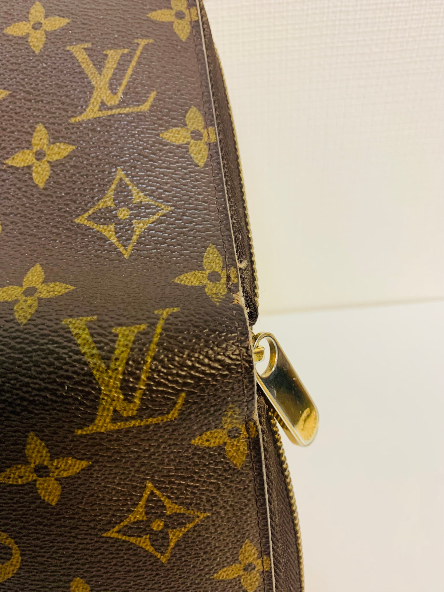 LOUIS VUITTON Daily Wallet Organizer Monogram